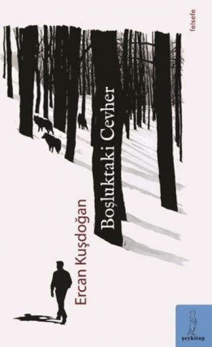 Vorderes Coverbild Bosluktaki Cevher