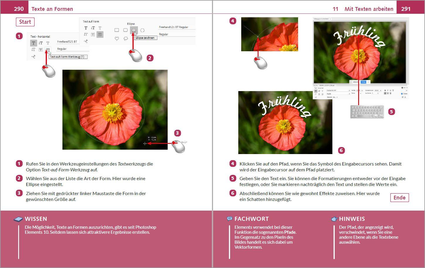 Beispielinhalt (Bild) Photoshop Elements 2026 - Bild für Bild erklärt