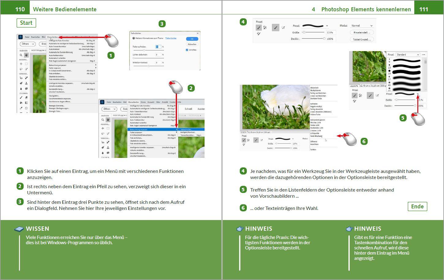 Beispielinhalt (Bild) Photoshop Elements 2026 - Bild für Bild erklärt