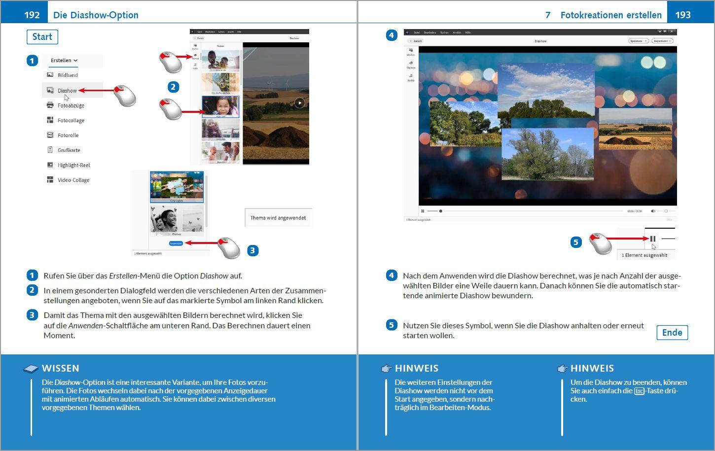 Beispielinhalt (Bild) Photoshop Elements 2026 - Bild für Bild erklärt