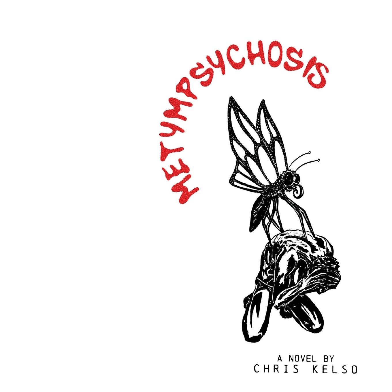 Vorderes Coverbild Metympsychosis