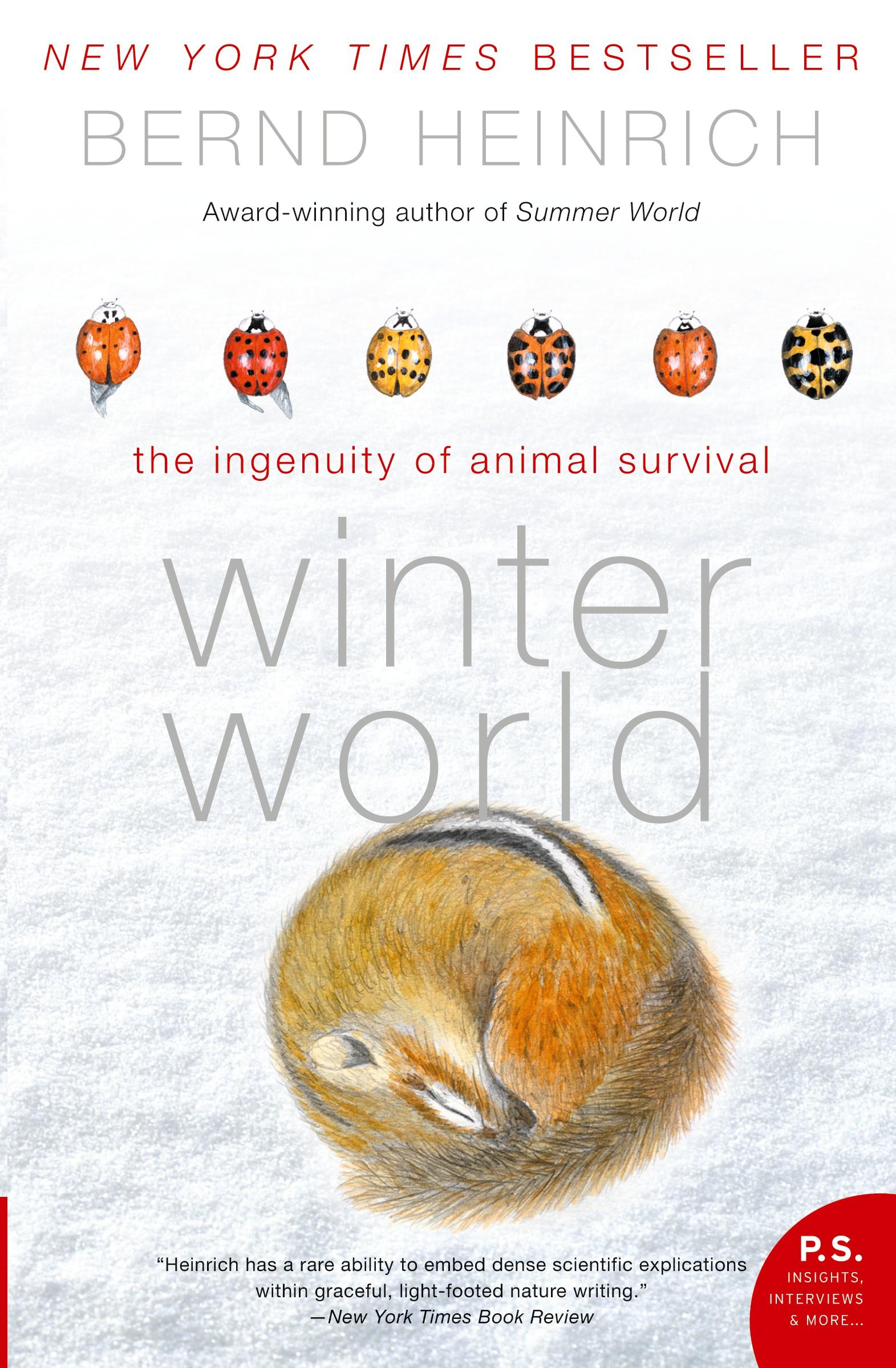 Vorderes Coverbild Winter World