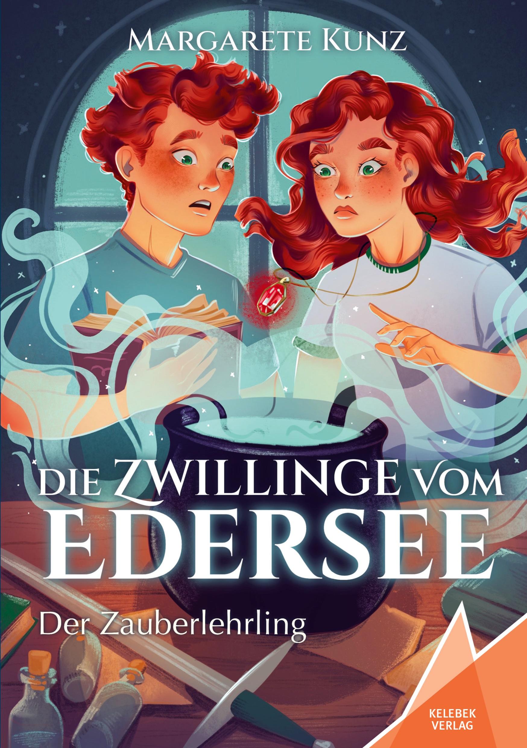 Vorderes Coverbild Die Zwillinge vom Edersee