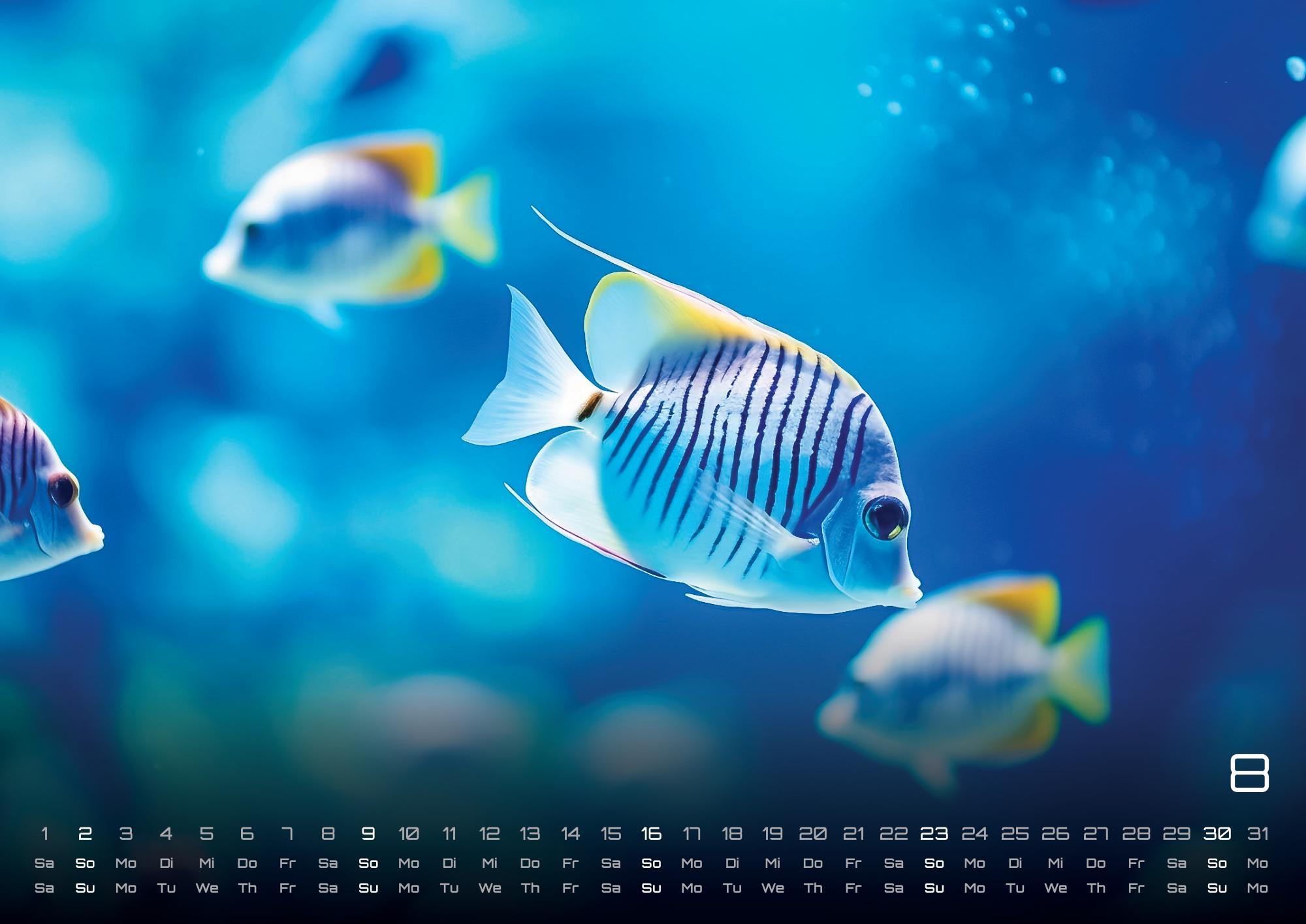 Beispielinhalt (Bild) Sealife - verborgene Tiefen - 2026 - Kalender DIN A2