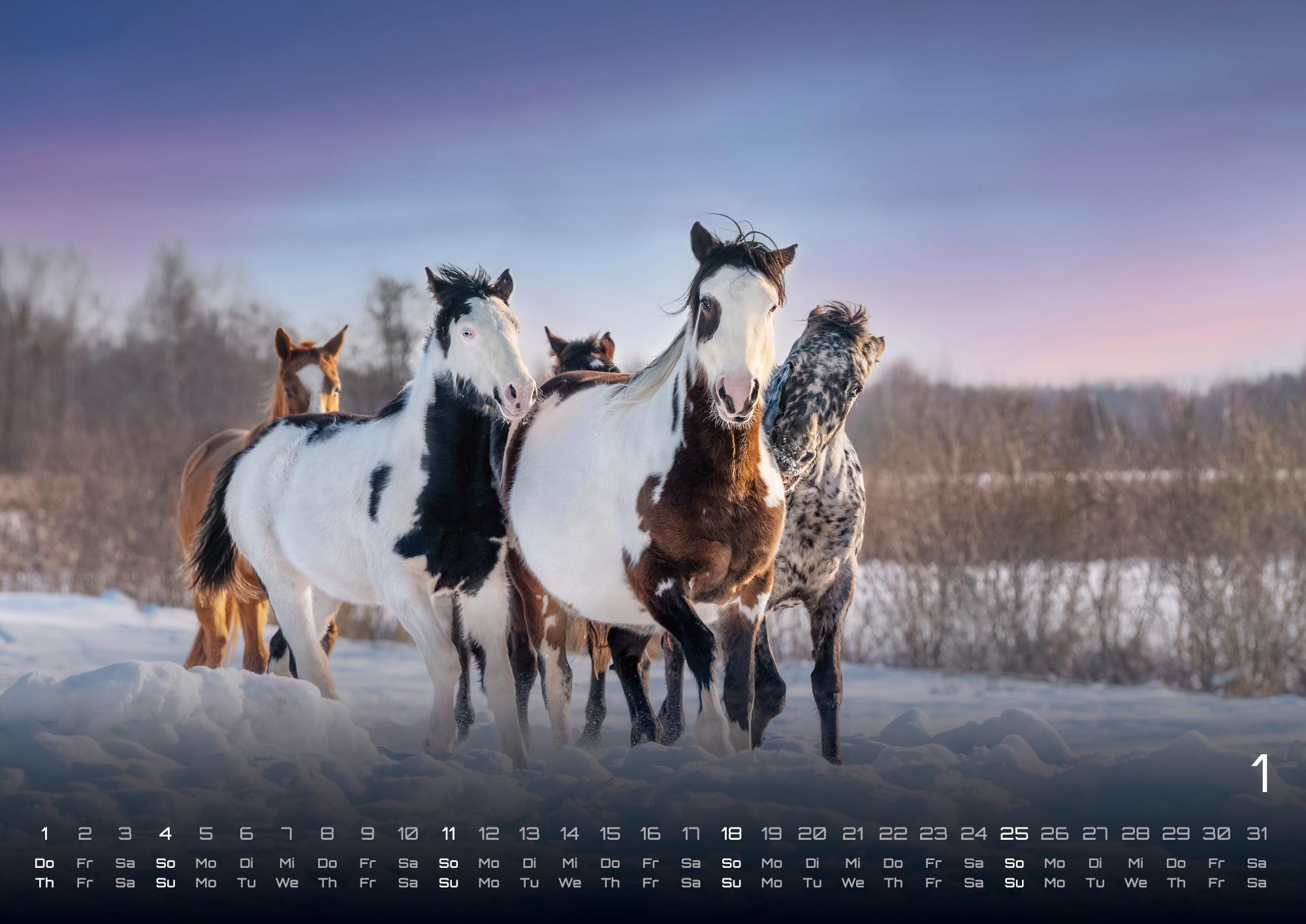 Beispielinhalt (Bild) Pferdegeflüster - Der Pferdekalender - 2026 - Kalender DIN A2