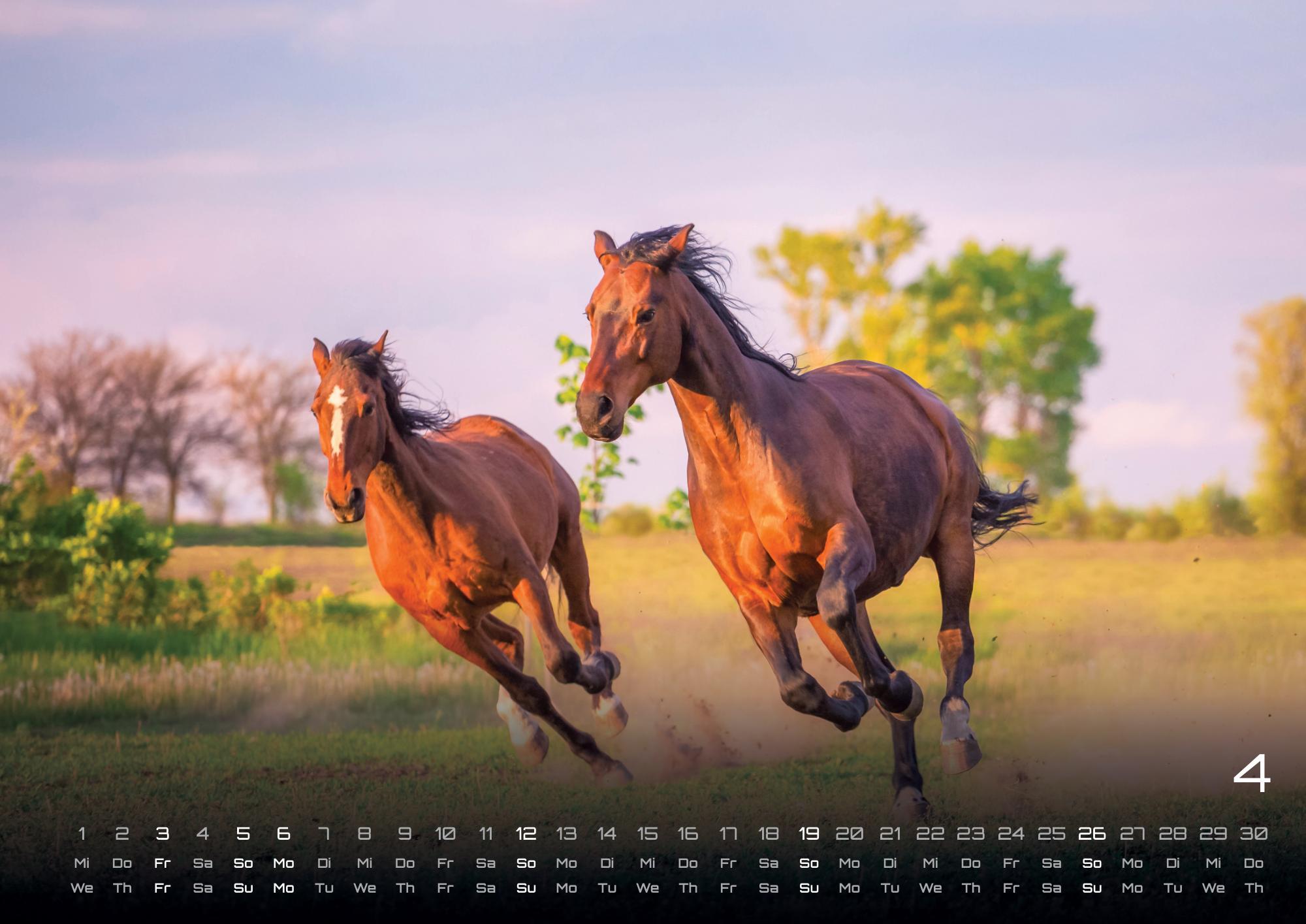 Beispielinhalt (Bild) Pferdegeflüster - Der Pferdekalender - 2026 - Kalender DIN A2