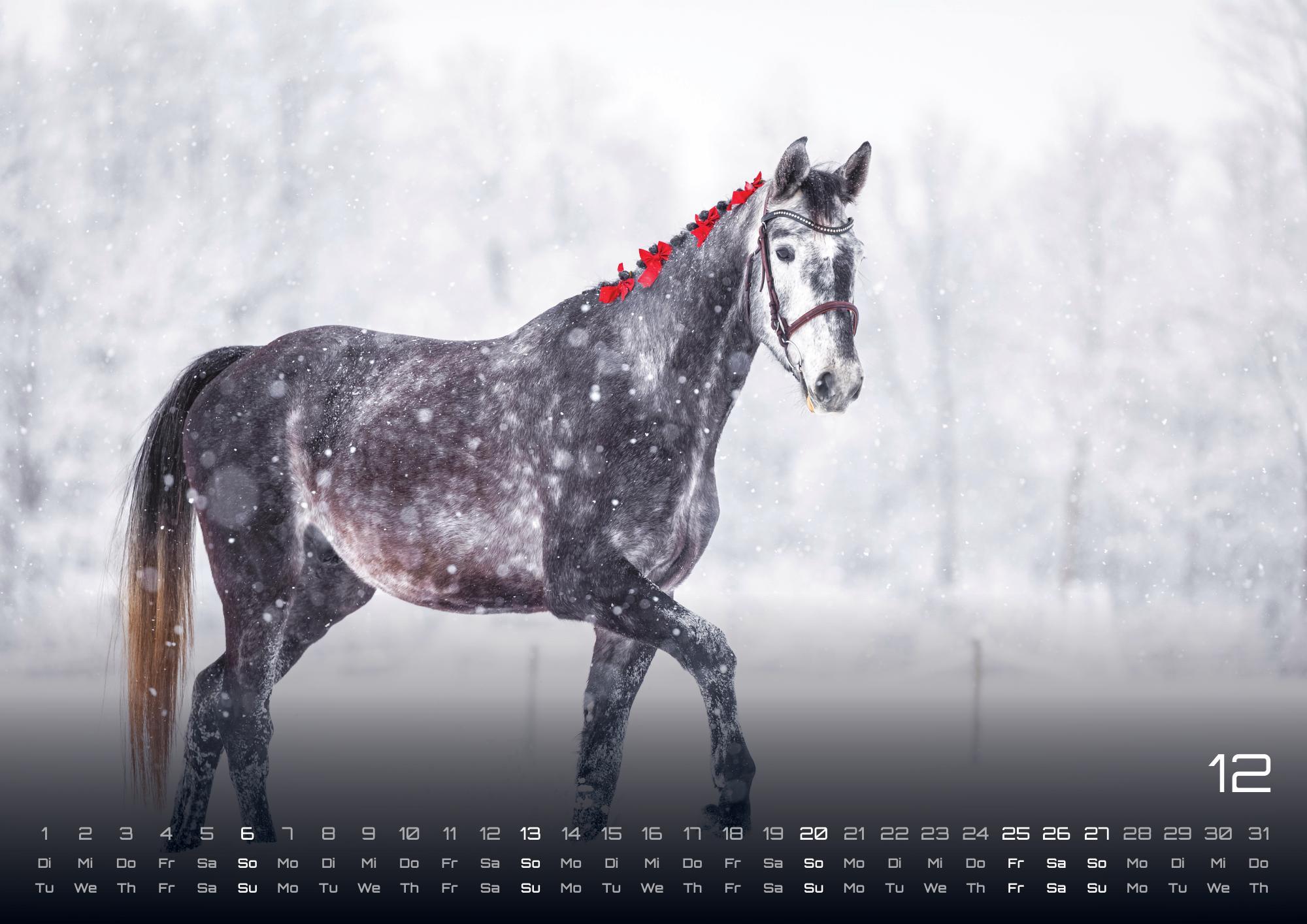 Beispielinhalt (Bild) Pferdegeflüster - Der Pferdekalender - 2026 - Kalender DIN A2