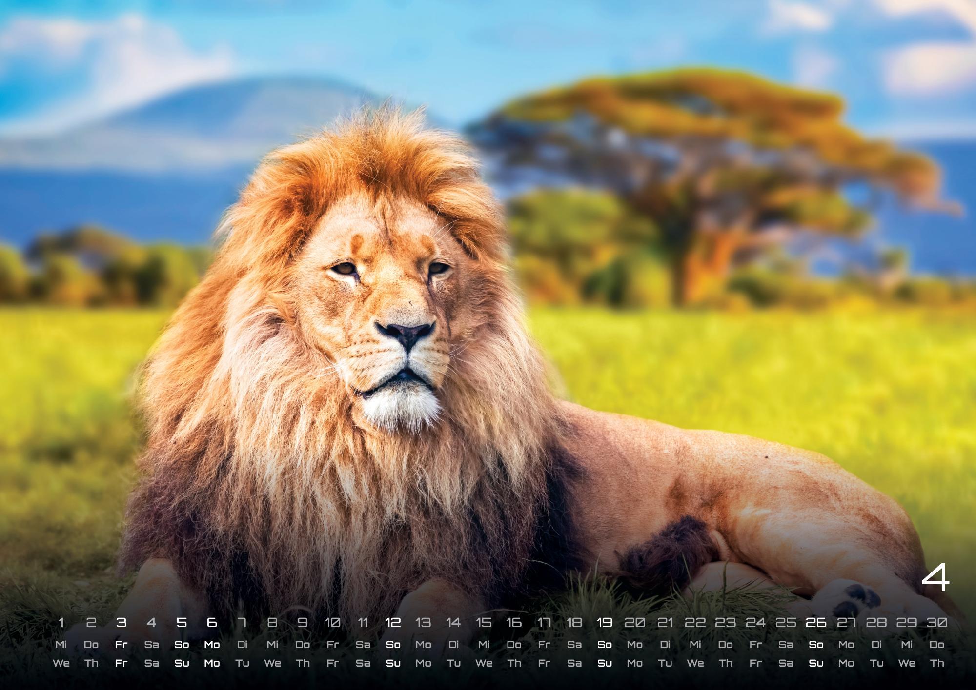 Beispielinhalt (Bild) Afrikas Tierwelt - Der Tierkalender - 2026 - Kalender DIN A3