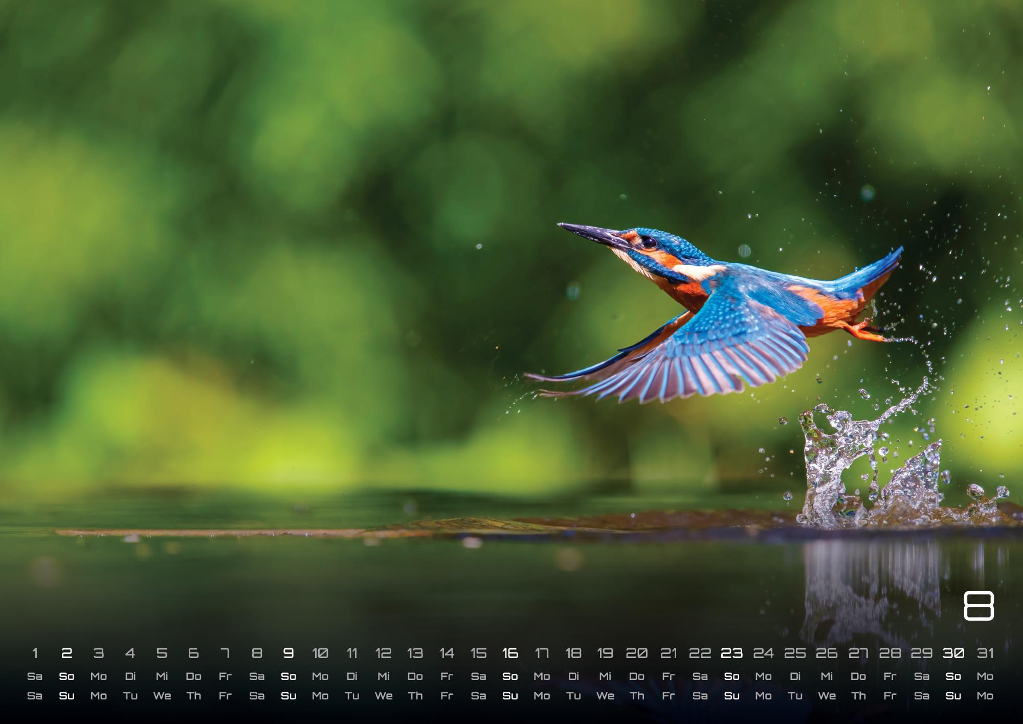 Beispielinhalt (Bild) Moments - wundervolle Momentaufnahmen - 2026 - Kalender DIN A3