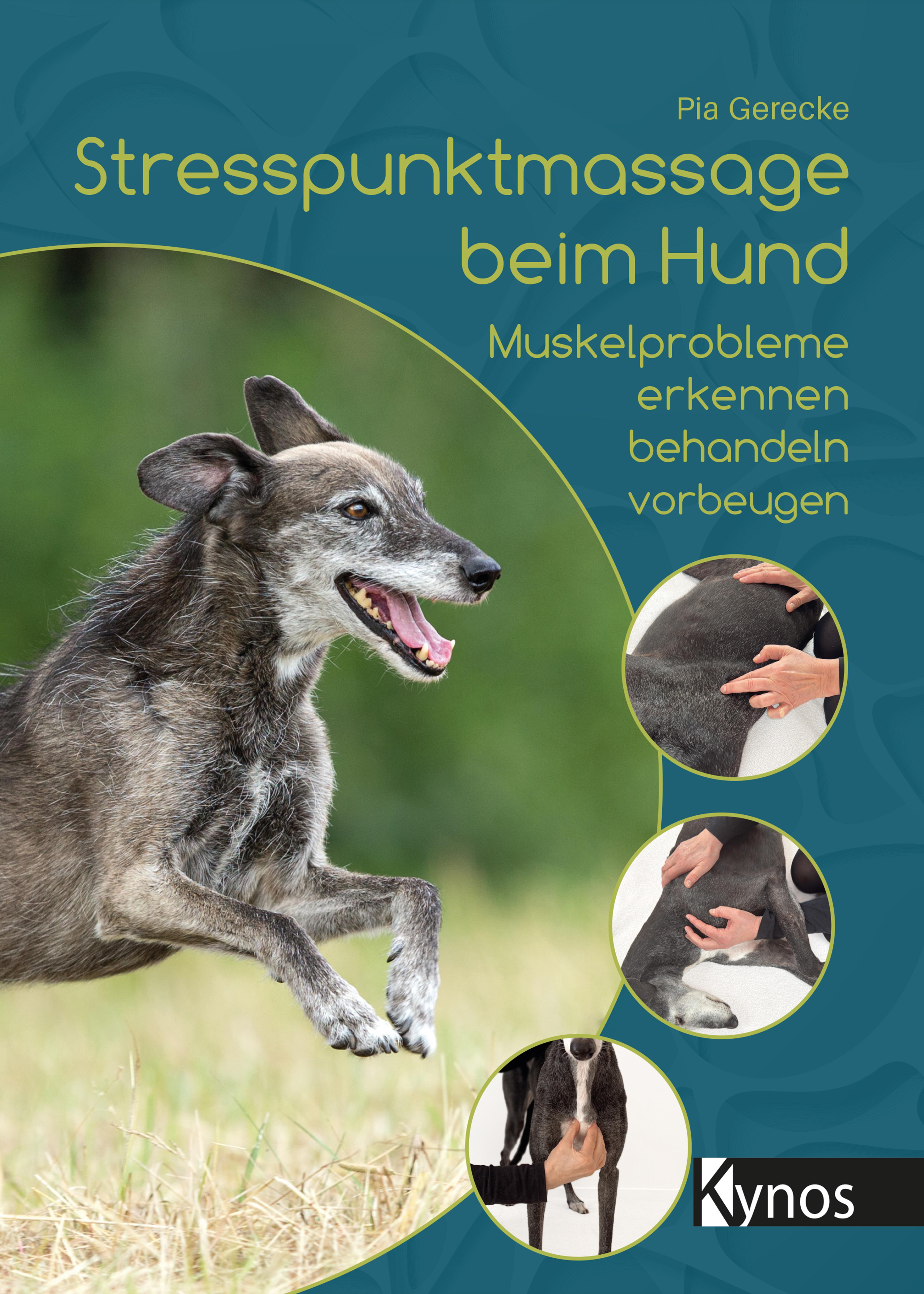 Vorderes Coverbild Stresspunktmassage beim Hund