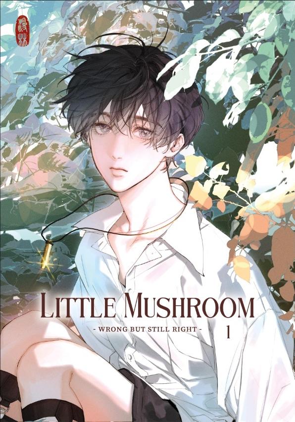 Vorderes Coverbild Little Mushroom - wrong but still right 1