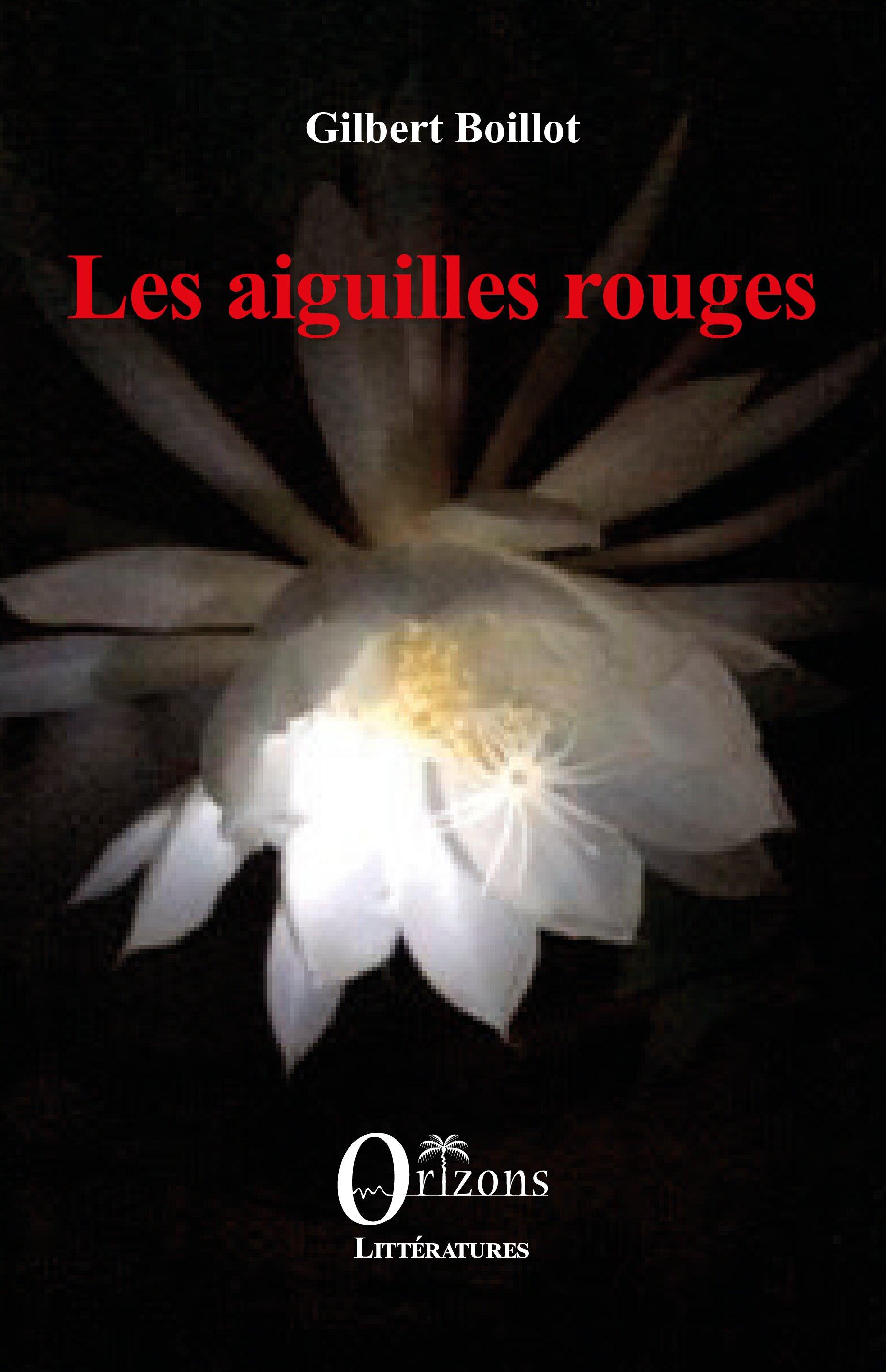 Vorderes Coverbild Les aiguilles rouges