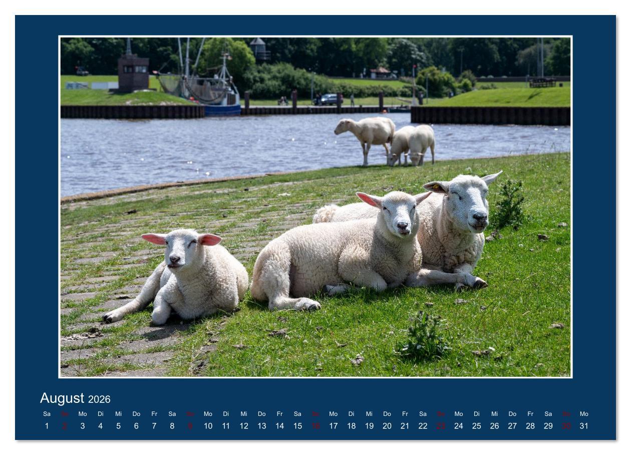 Beispielinhalt (Bild) Dangast. Impressionen eines besonderen Ortes. (Wandkalender 2026 DIN A3 quer), CALVENDO Monatskalender