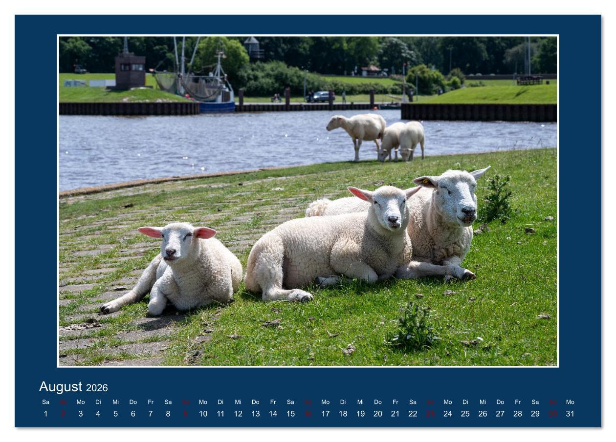 Beispielinhalt (Bild) Dangast. Impressionen eines besonderen Ortes. (Tischkalender 2026 DIN A5 quer), CALVENDO Monatskalender