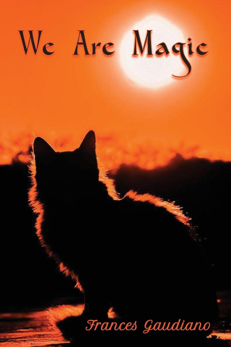 Vorderes Coverbild We are Magic