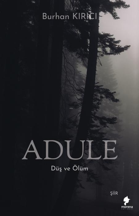 Vorderes Coverbild Adule;Düs ve Ölüm
