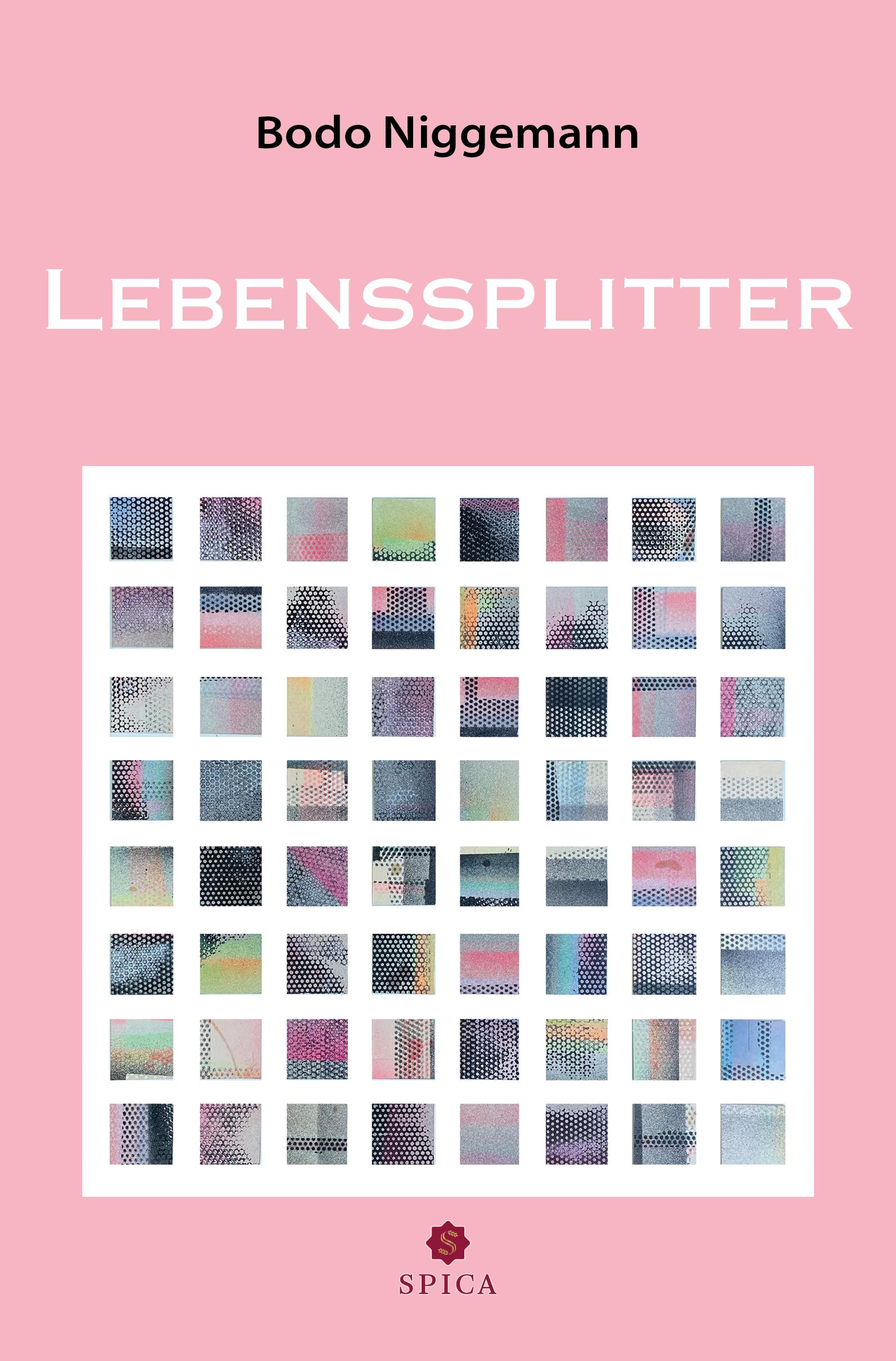 Vorderes Coverbild Lebenssplitter