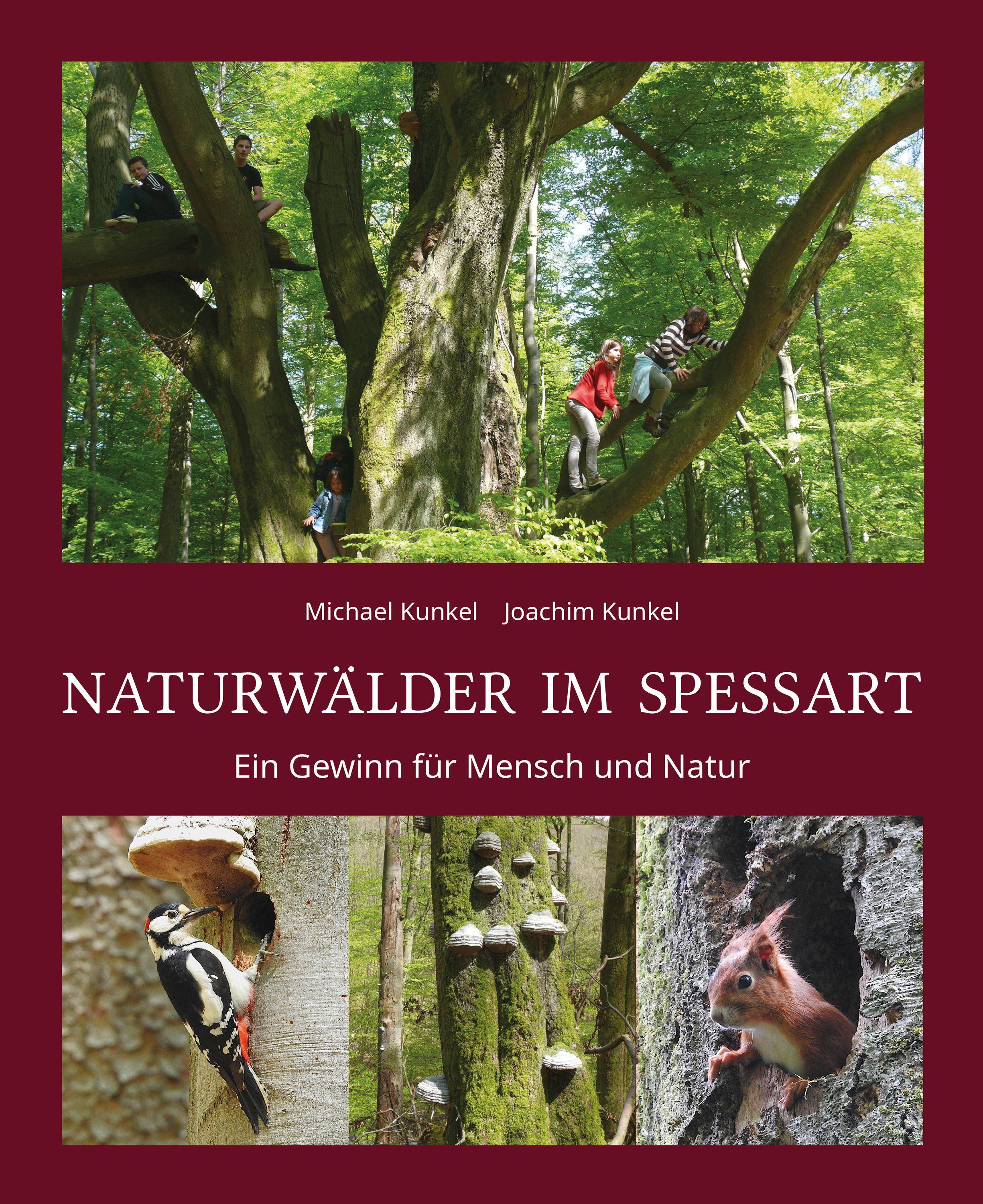 Vorderes Coverbild Naturwälder im Spessart
