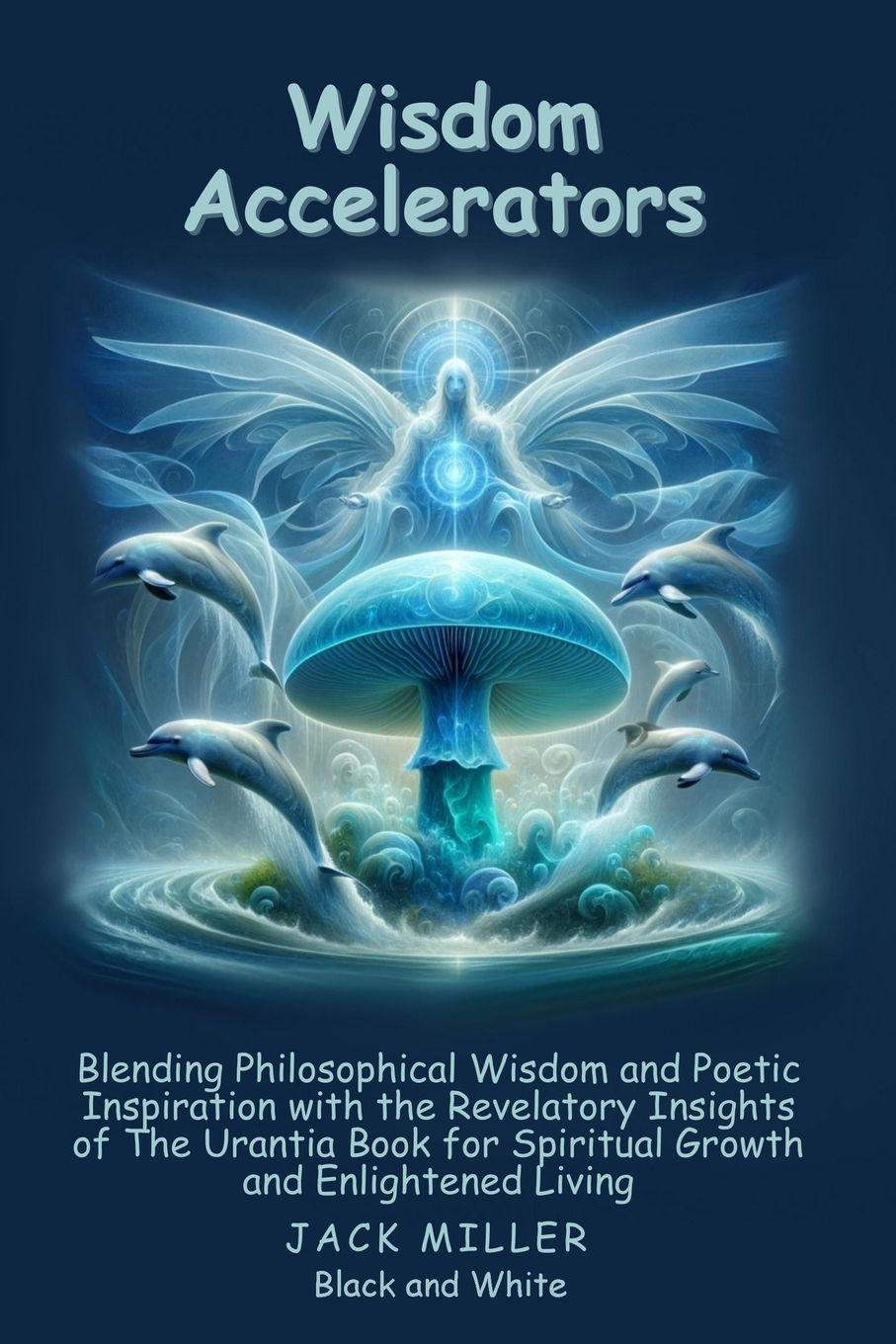 Vorderes Coverbild Wisdom Accelerators