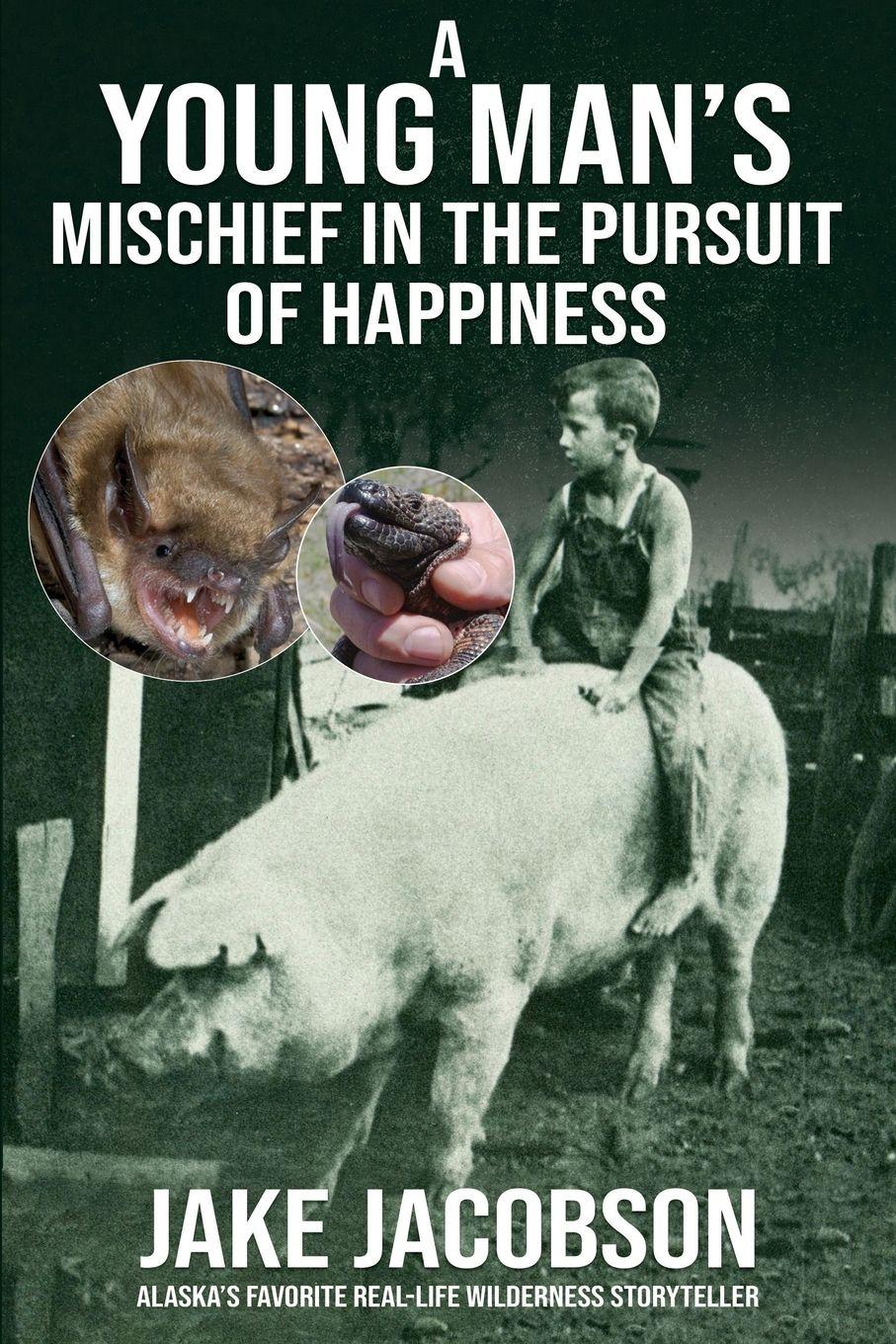 Vorderes Coverbild A Young Man's Mischief in the Pursuit of Happiness