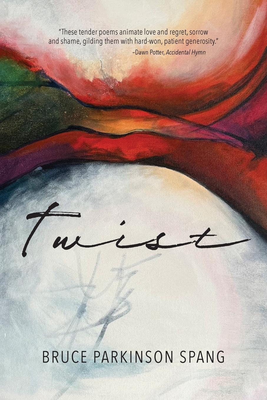 Vorderes Coverbild Twist