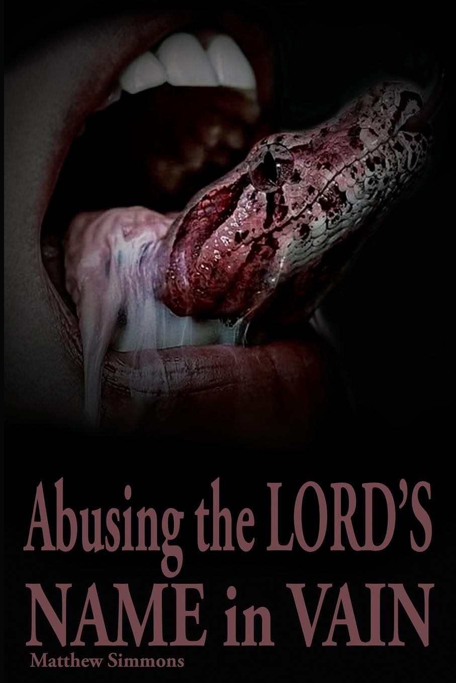 Vorderes Coverbild Abusing the Lord's Name in Vain