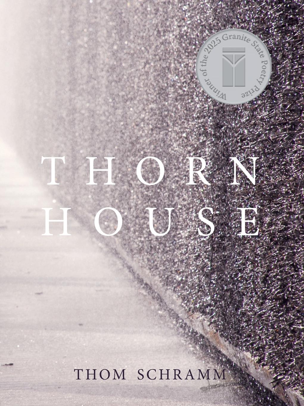 Vorderes Coverbild Thorn House