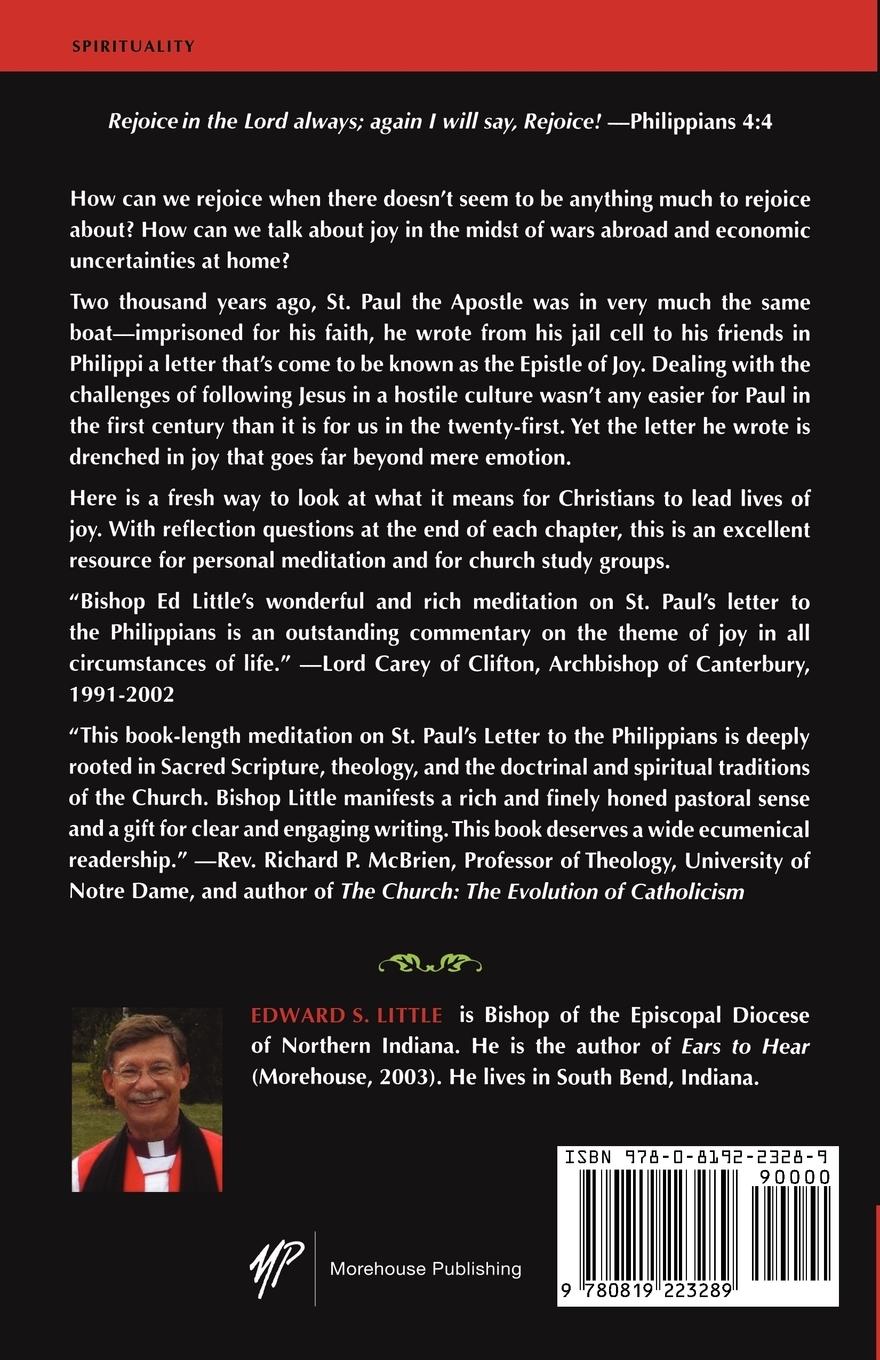 Rückseitencover Joy in Disguise