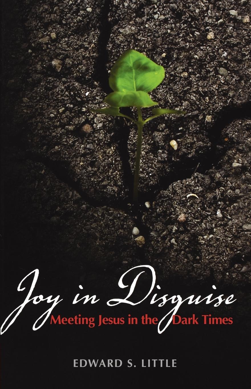 Vorderes Coverbild Joy in Disguise
