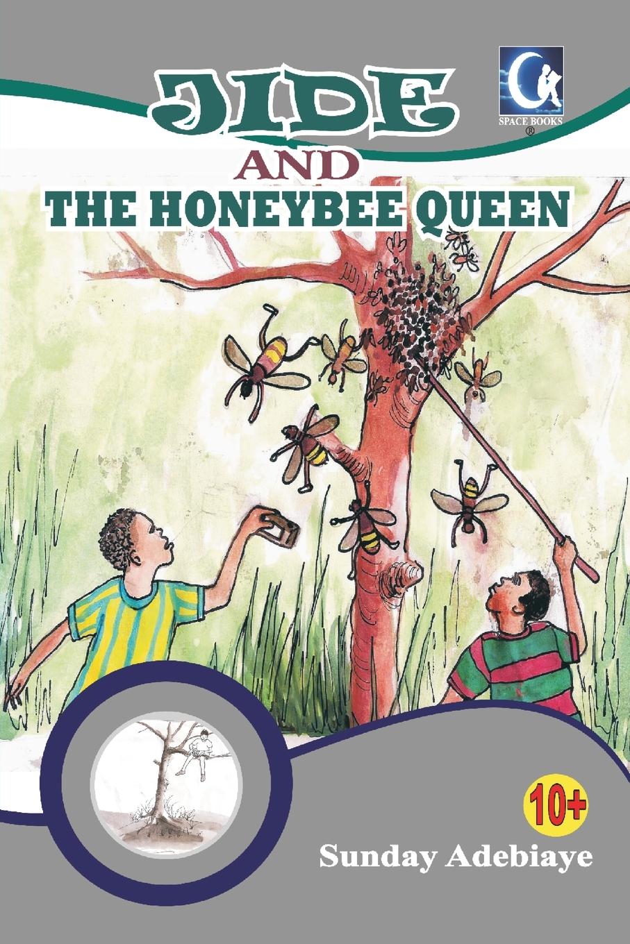 Vorderes Coverbild Jide and the honeybee queen