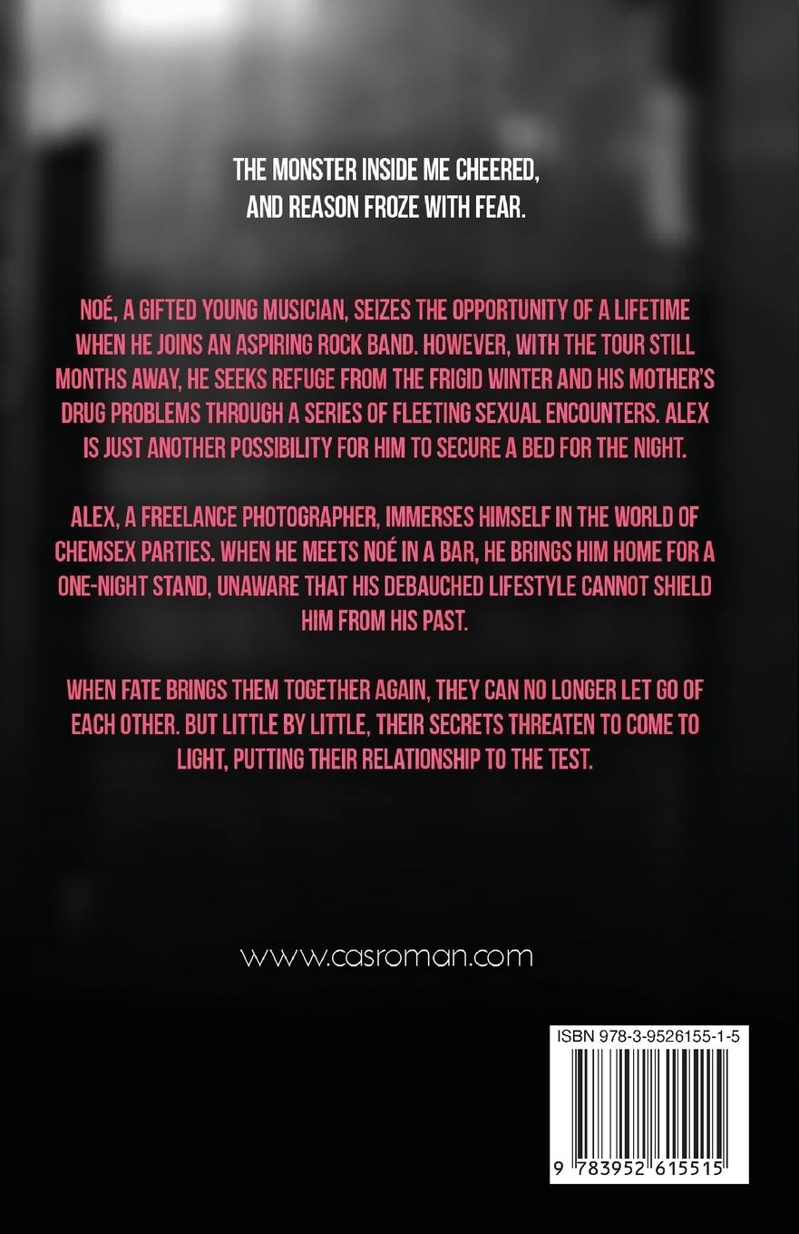 Rückseitencover Dark Room Junkie