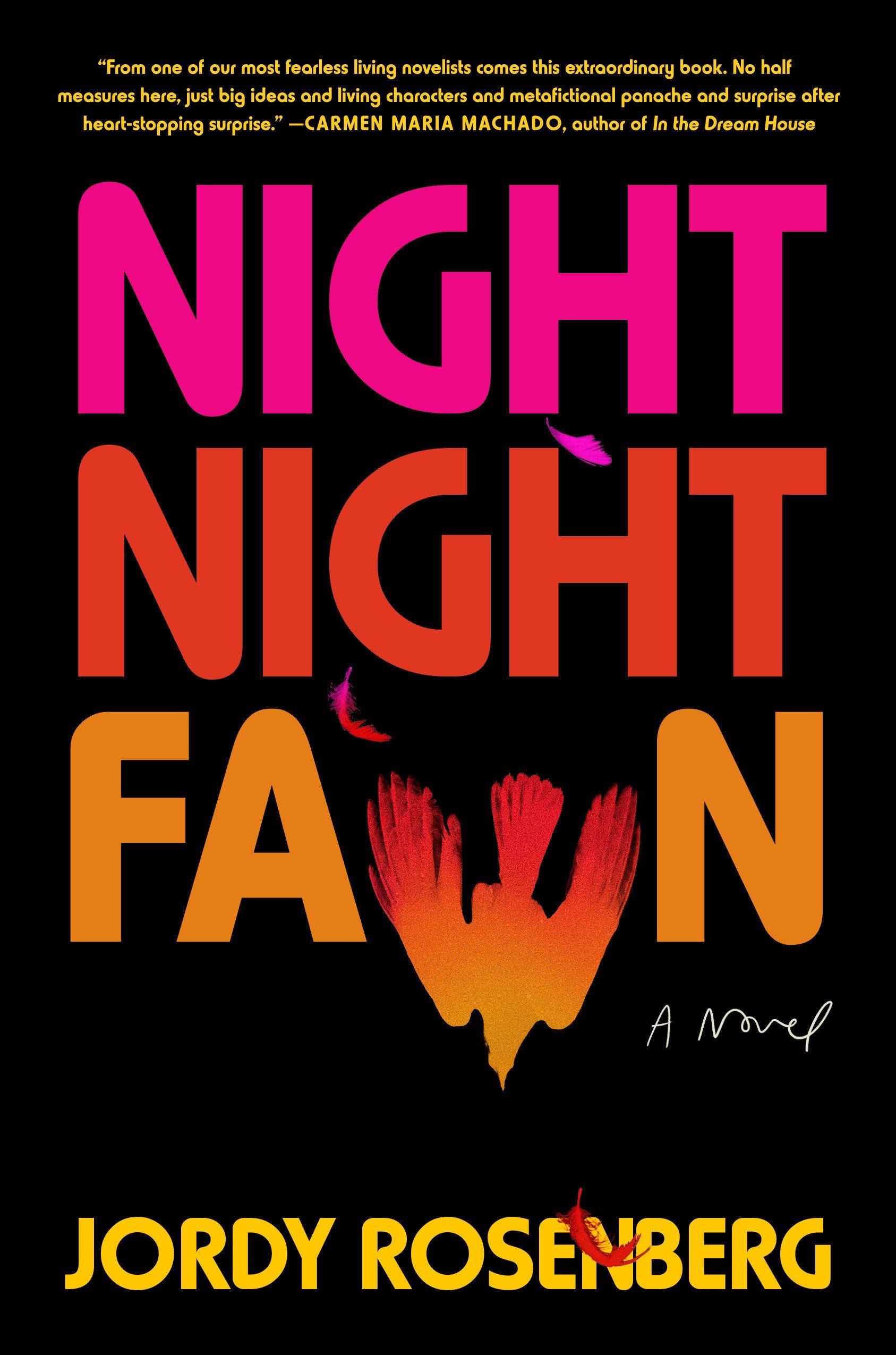 Vorderes Coverbild Night Night Fawn