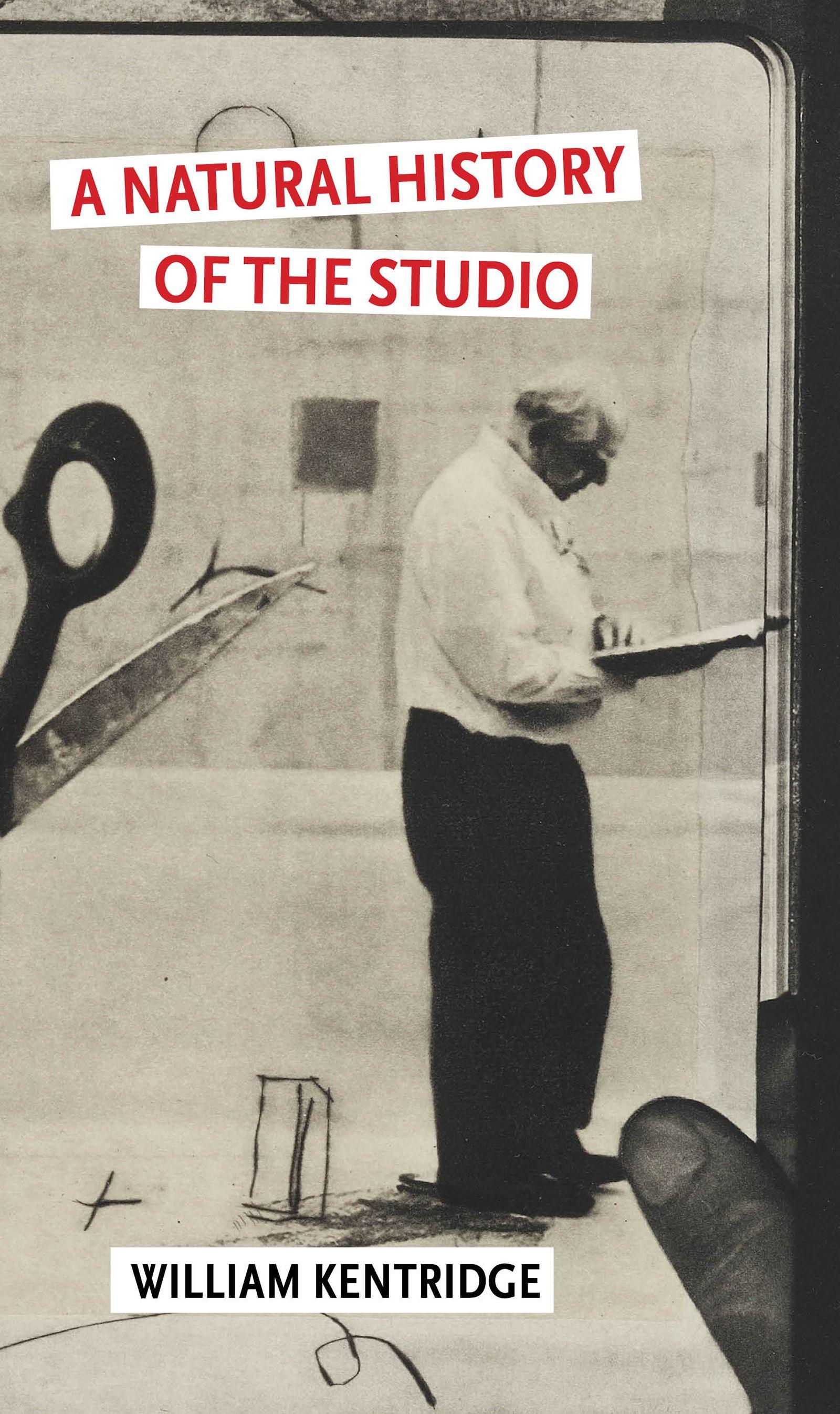 Vorderes Coverbild A Natural History of the Studio