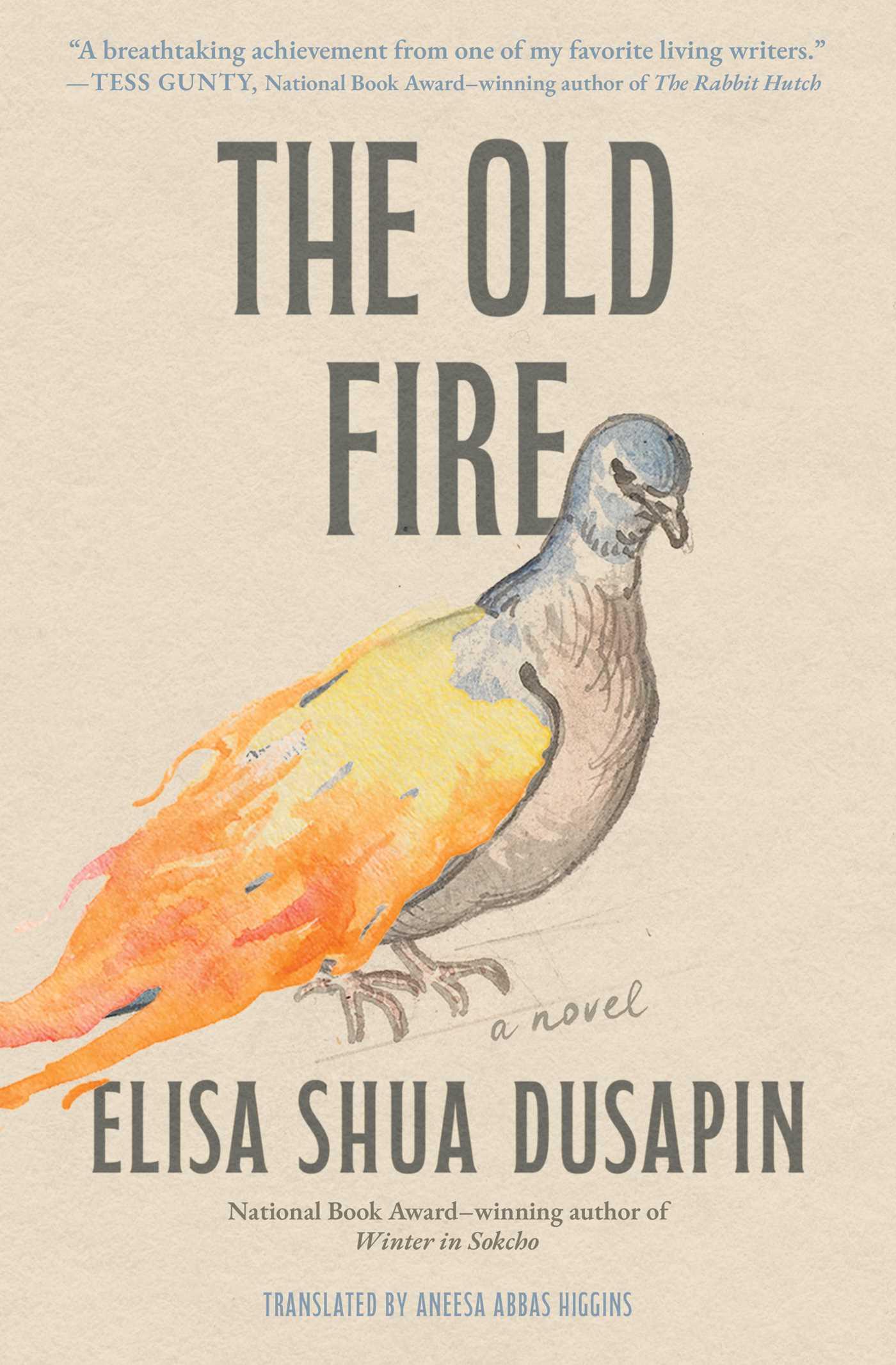 Vorderes Coverbild The Old Fire