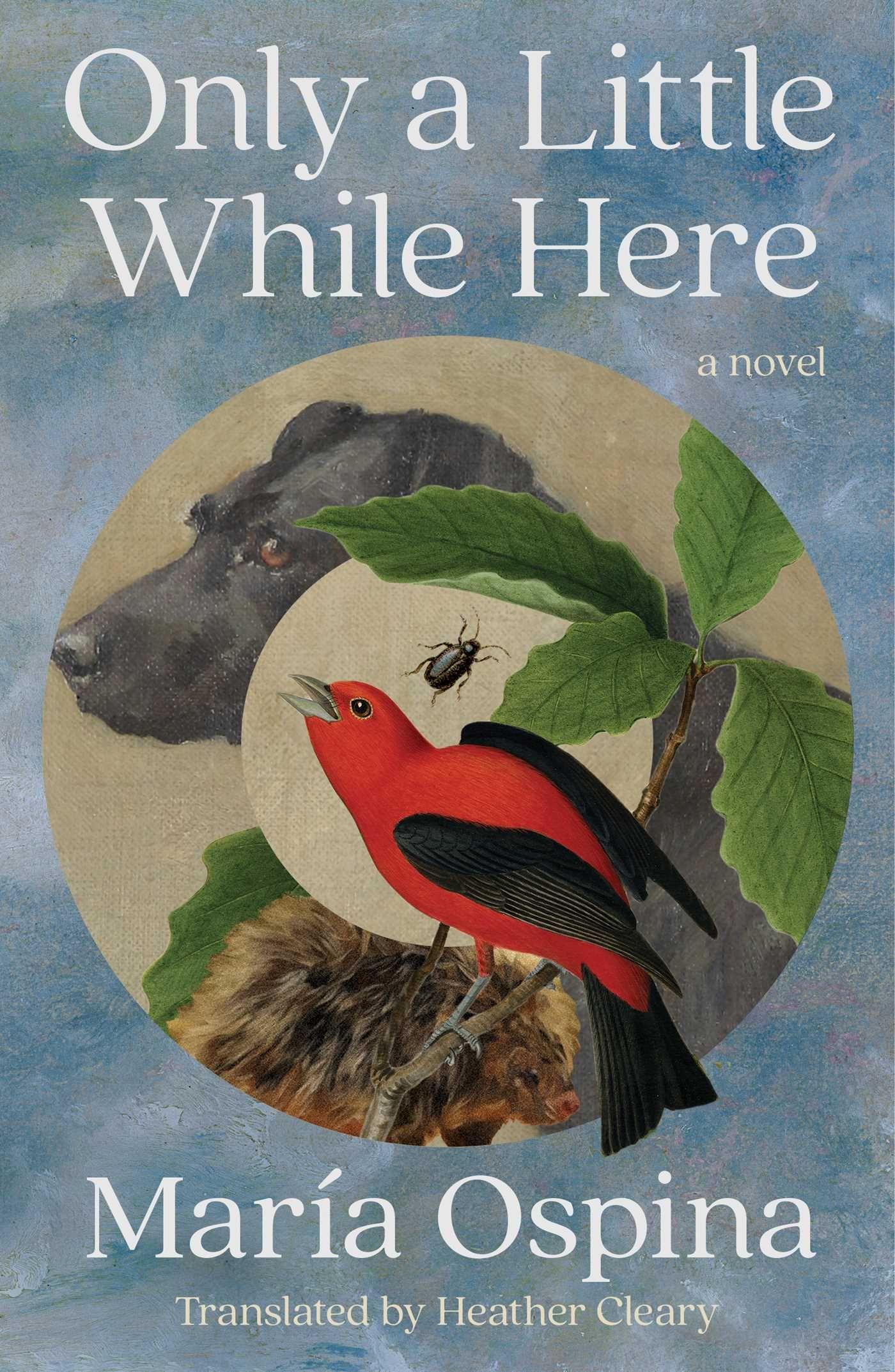 Vorderes Coverbild Only a Little While Here