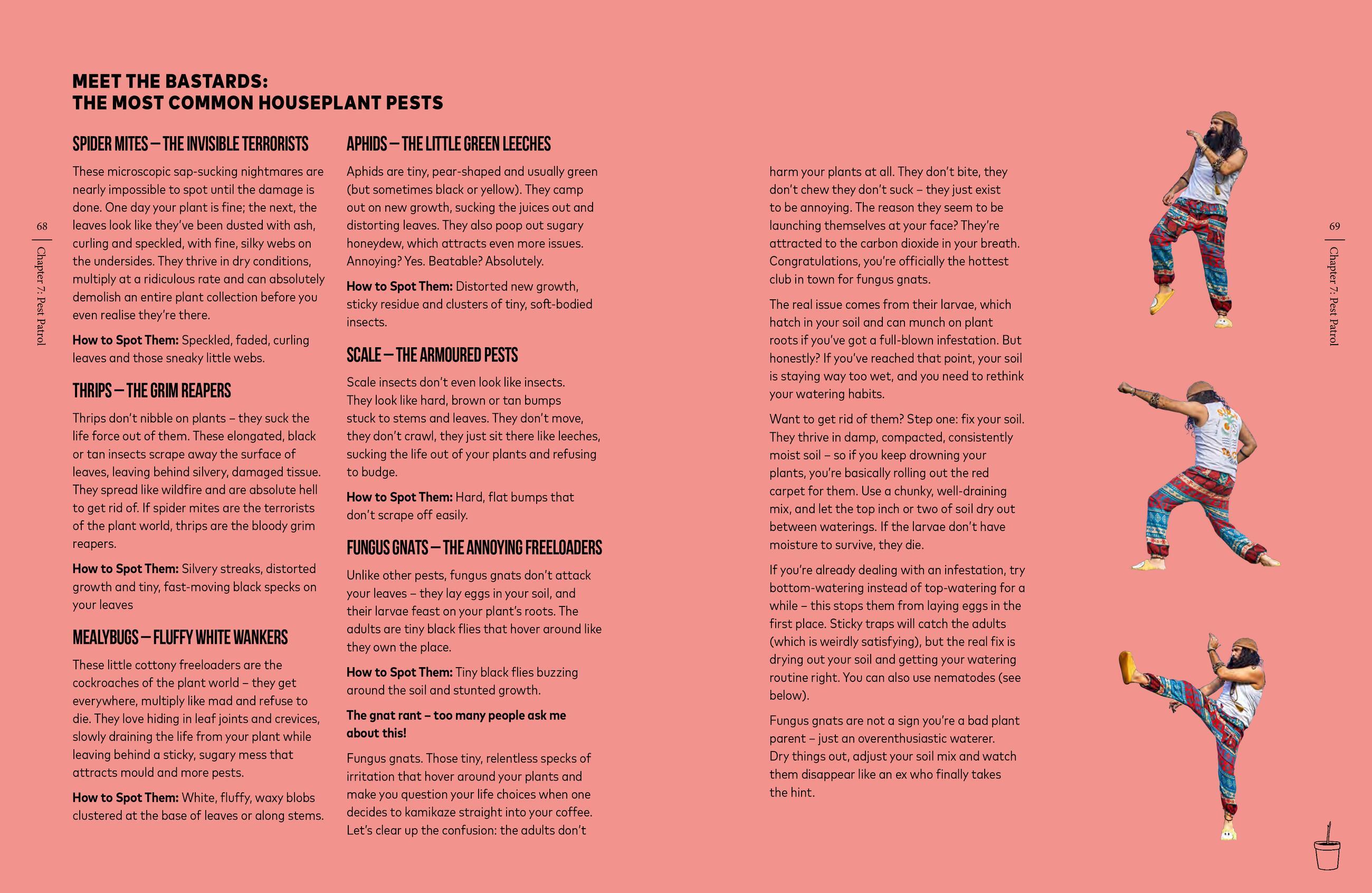 Beispielinhalt (Bild) You're Overwatering It!