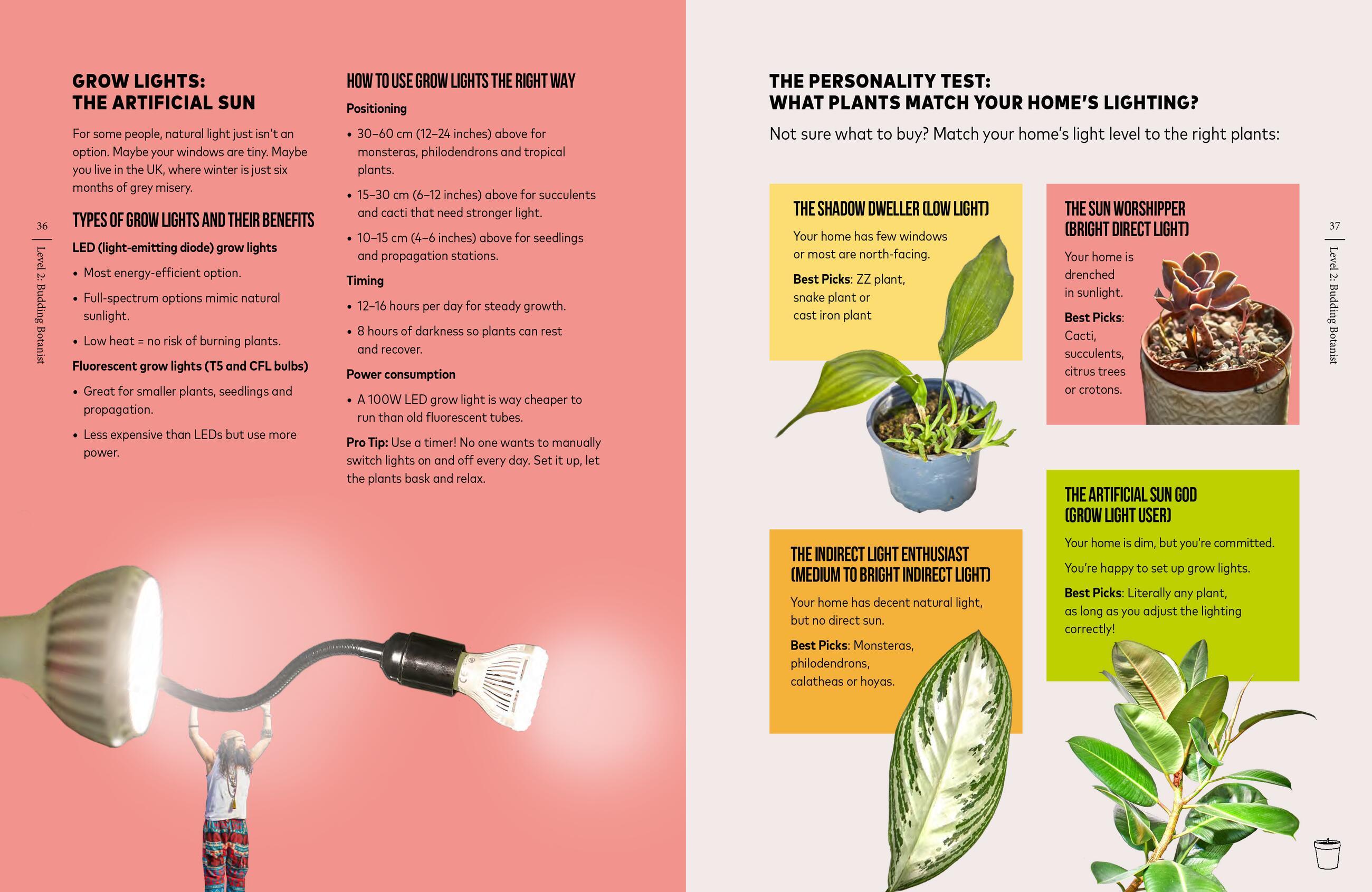 Beispielinhalt (Bild) You're Overwatering It!