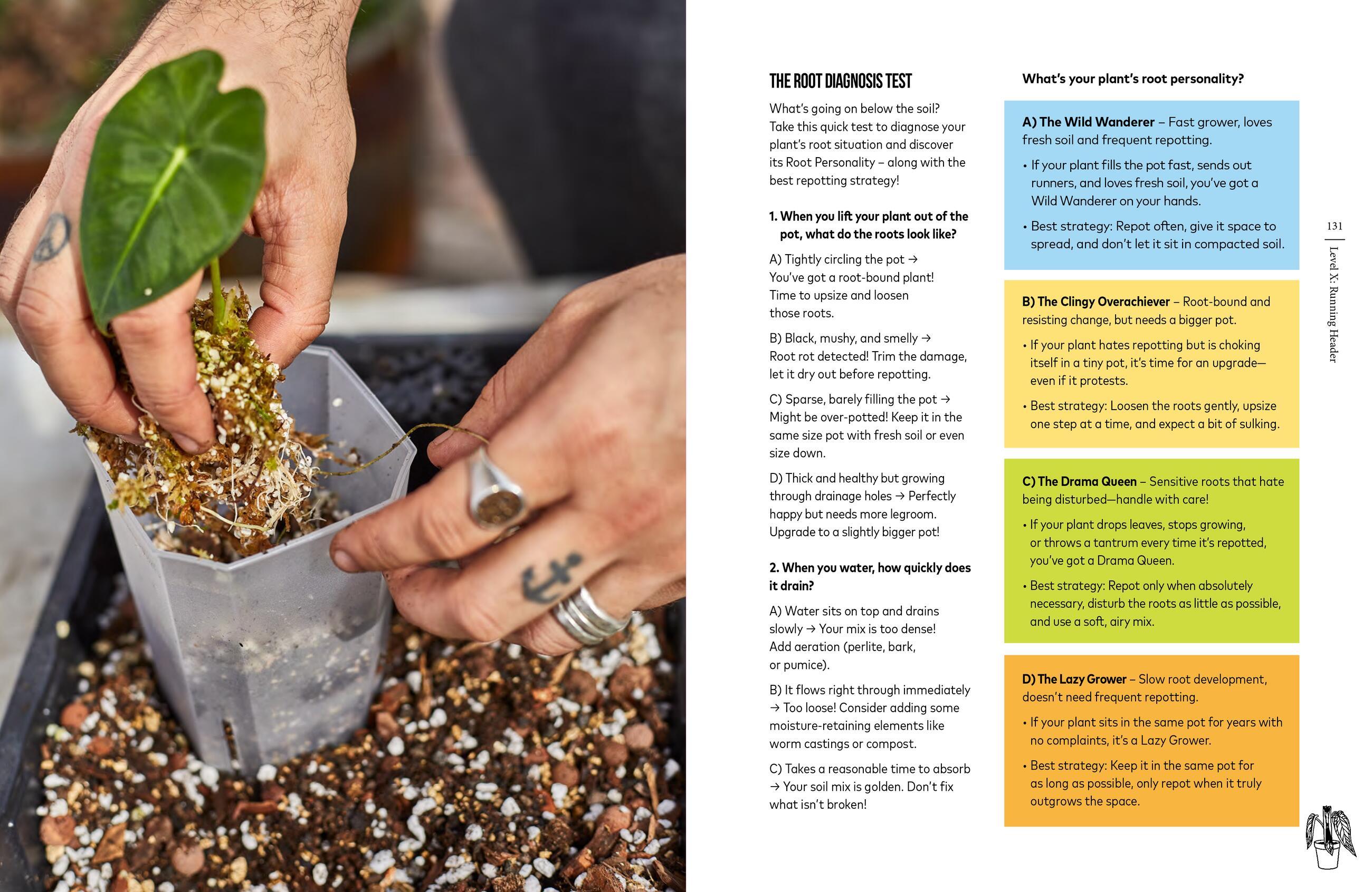 Beispielinhalt (Bild) You're Overwatering It!