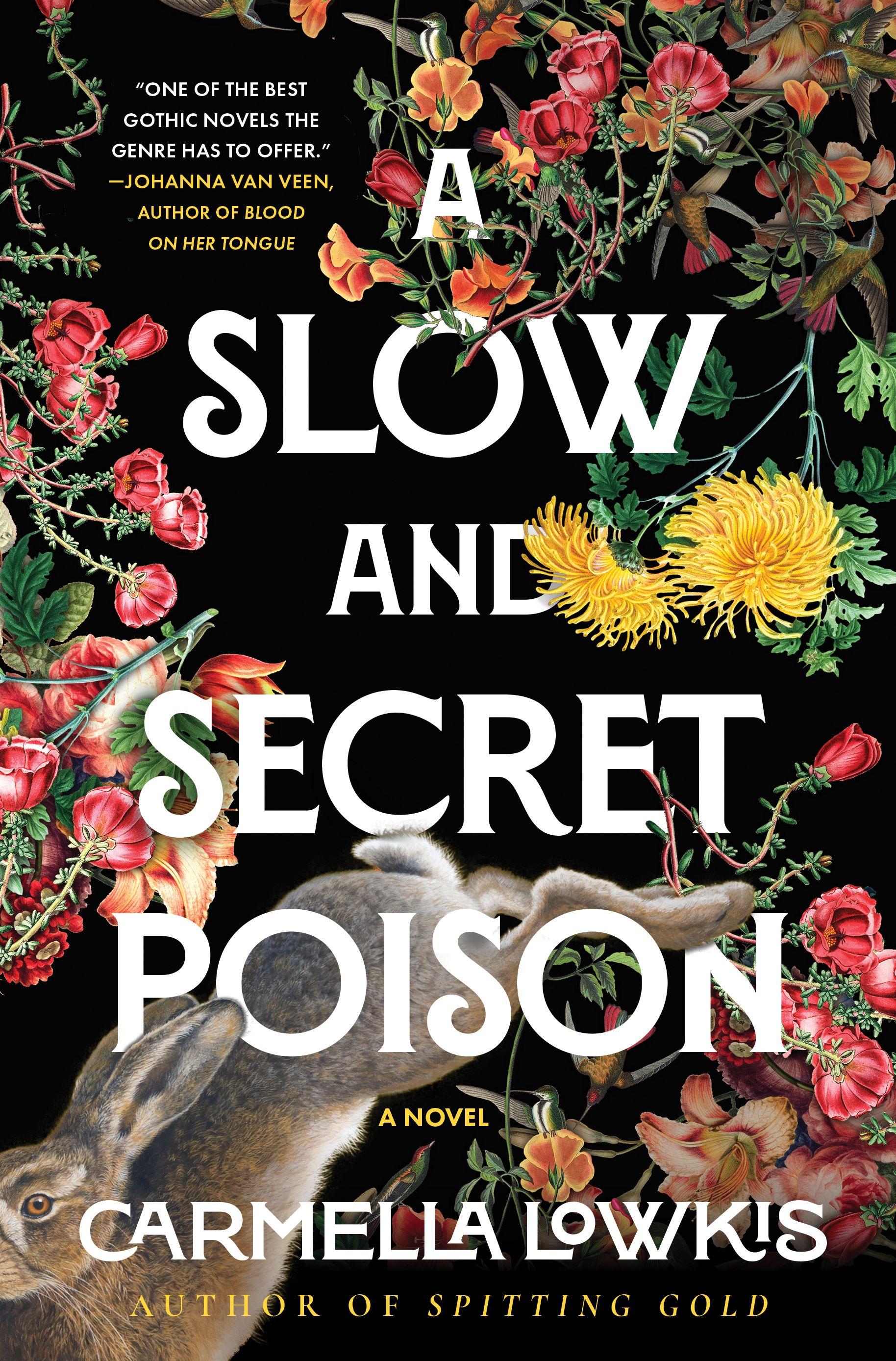 Vorderes Coverbild A Slow and Secret Poison