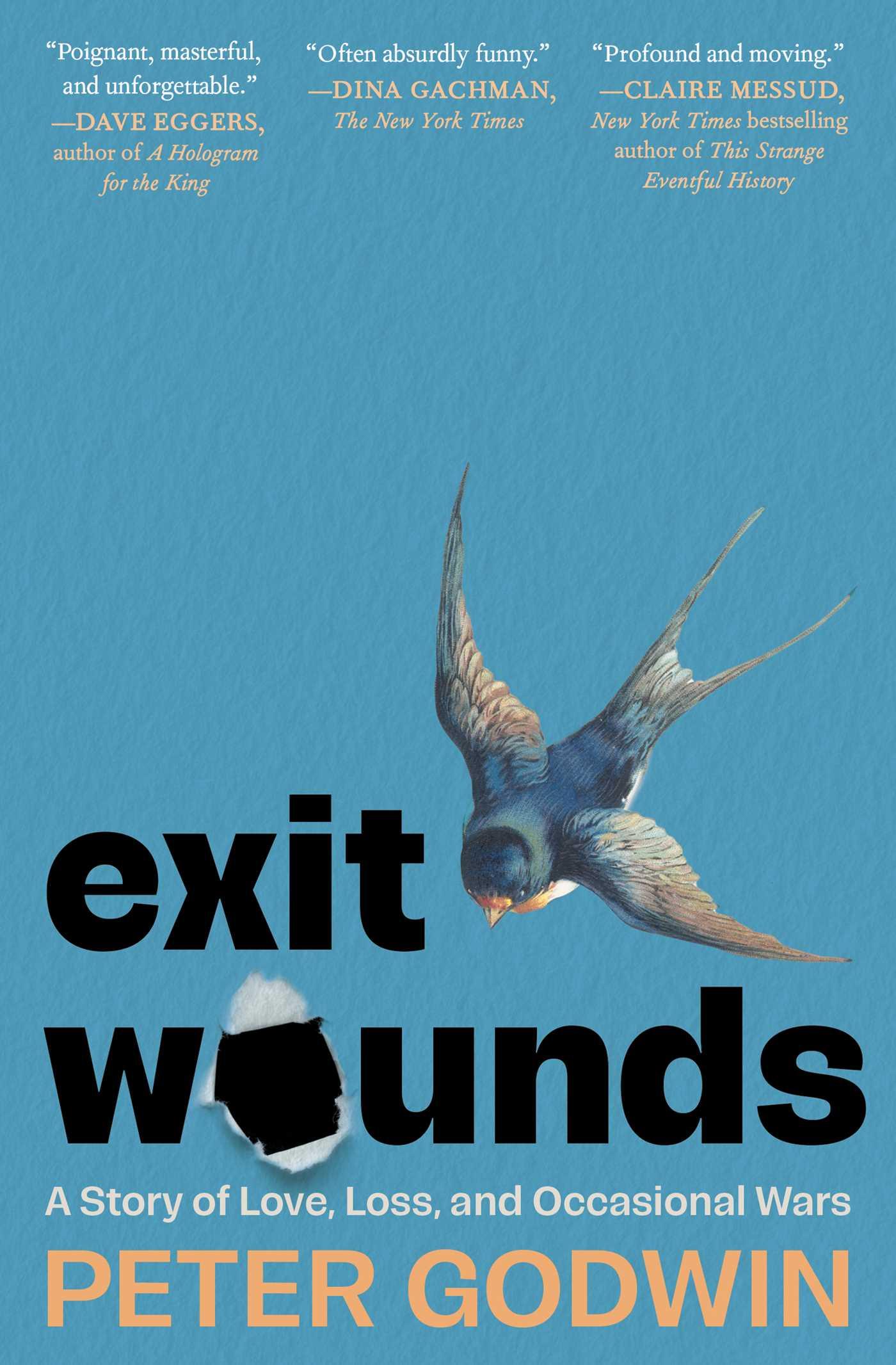 Vorderes Coverbild Exit Wounds