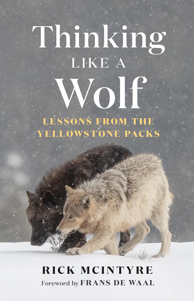 Vorderes Coverbild Thinking Like a Wolf