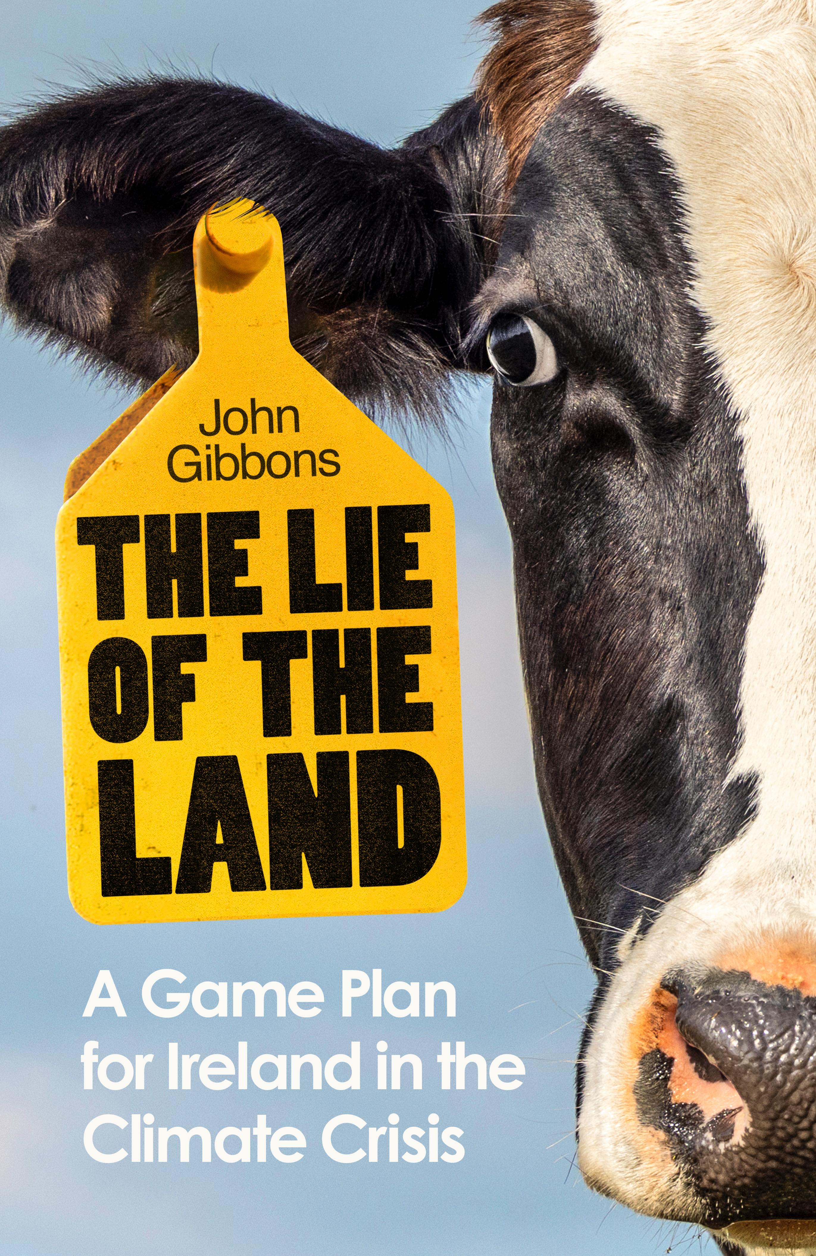 Vorderes Coverbild The Lie of the Land