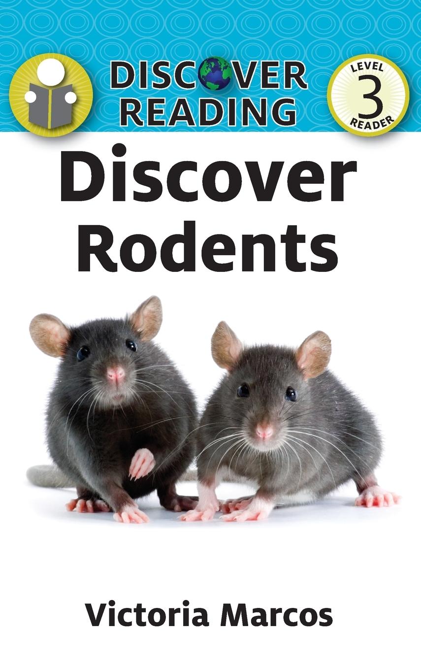 Vorderes Coverbild Discover Rodents