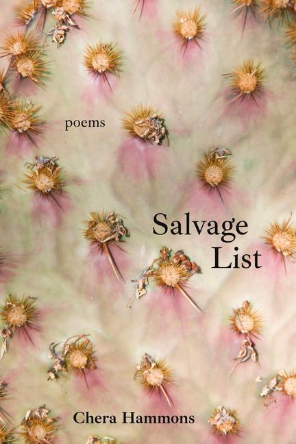 Vorderes Coverbild Salvage List
