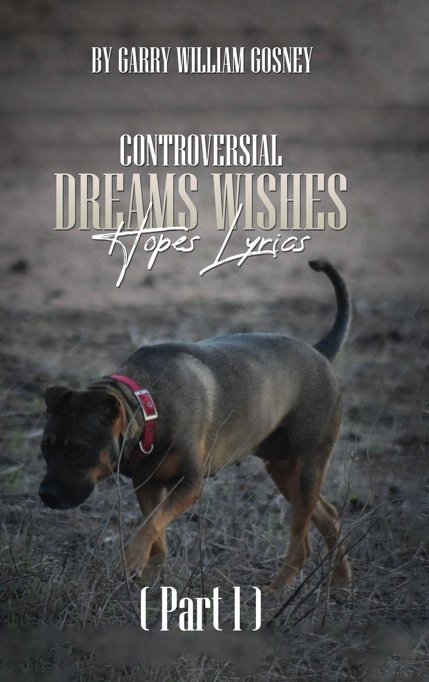 Vorderes Coverbild CONTROVERSIAL DREAMS WISHES HOPES LYRICS Part 1