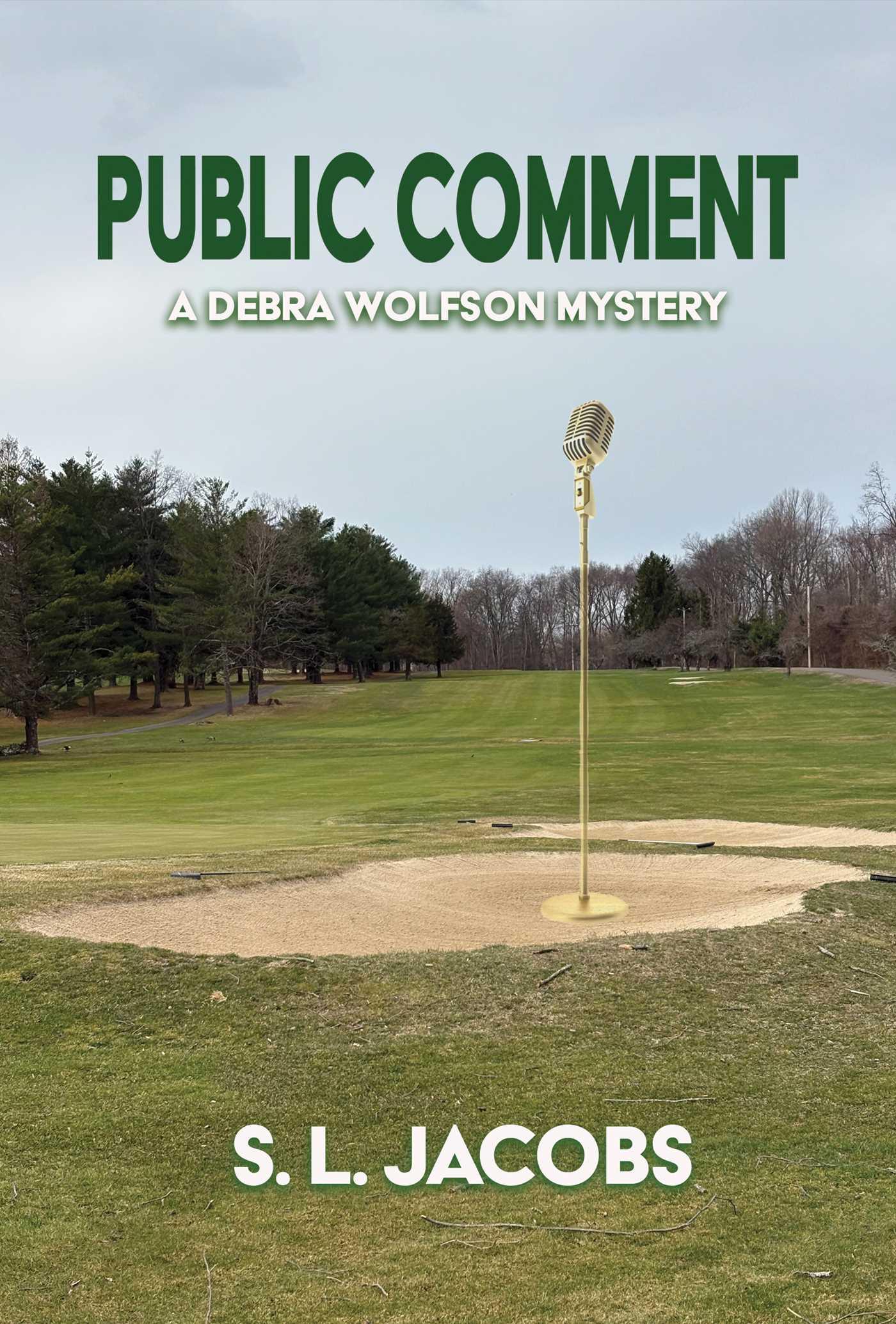 Vorderes Coverbild Public Comment