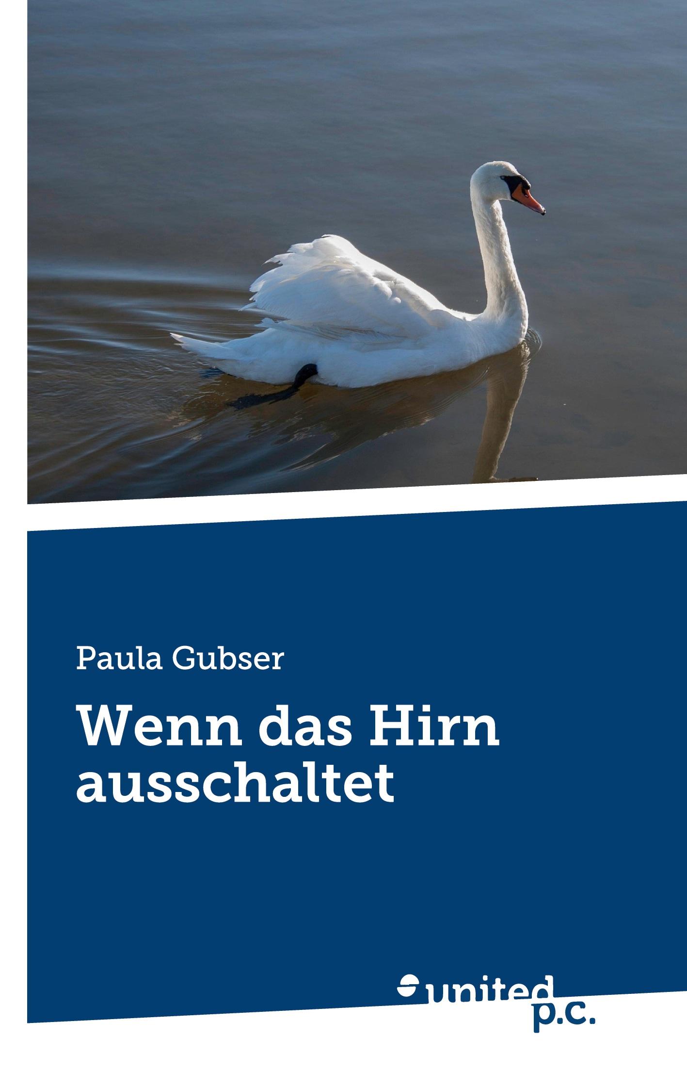 Vorderes Coverbild Wenn das Hirn ausschaltet