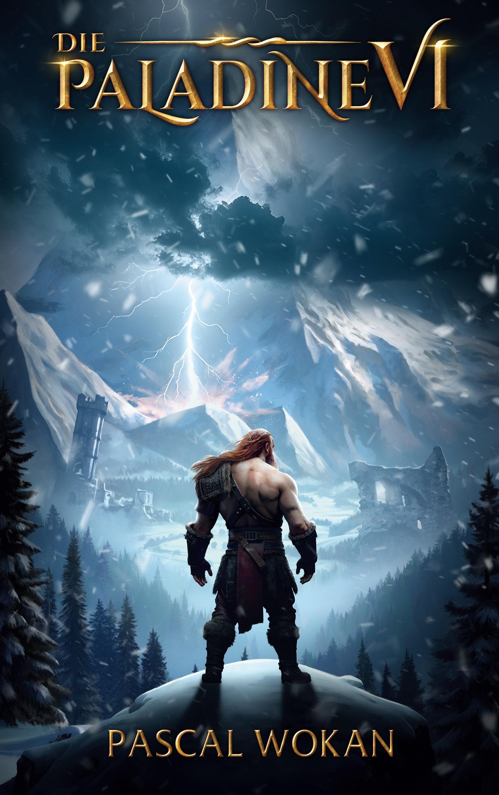 Vorderes Coverbild Die Paladine