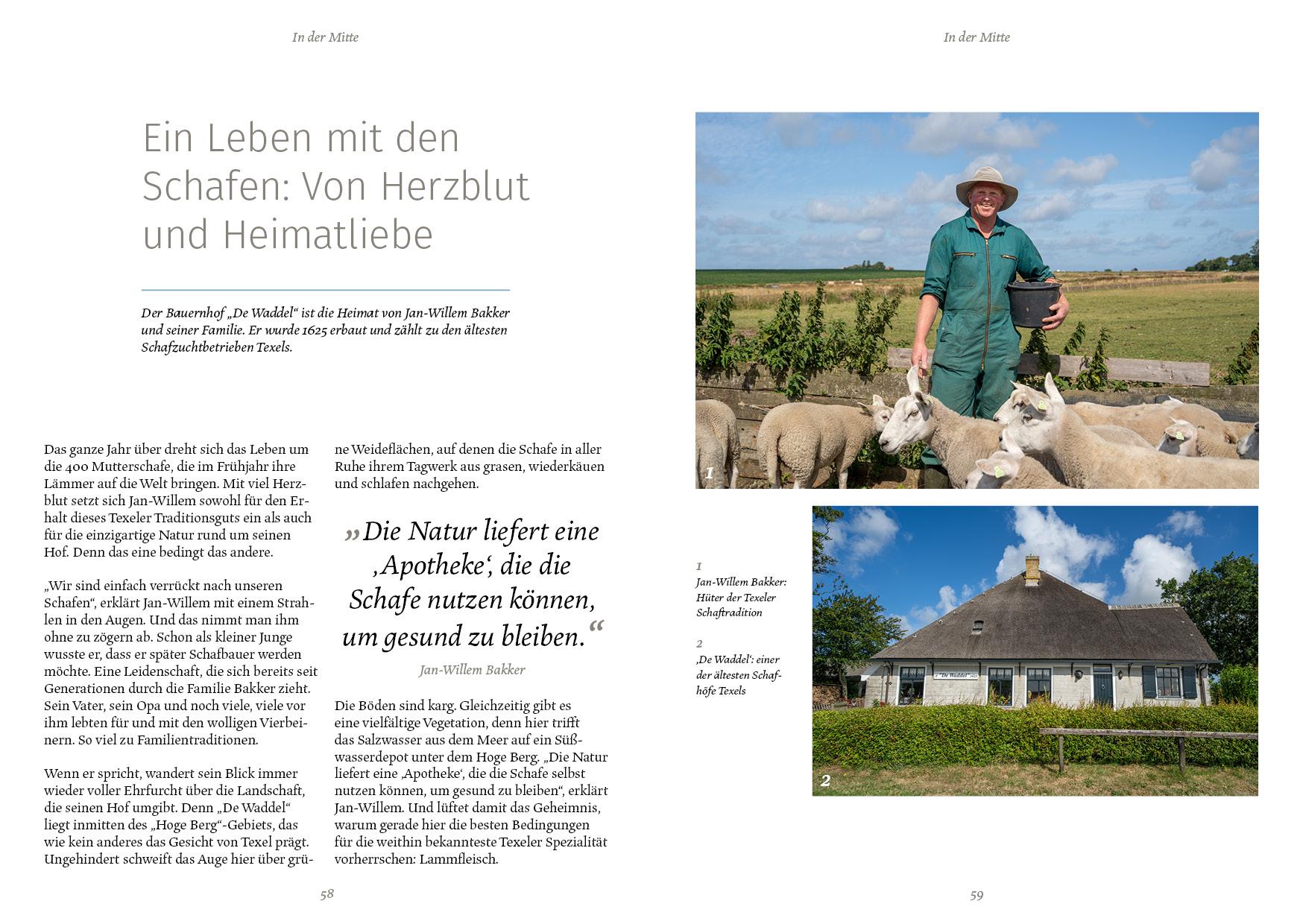 Beispielinhalt (Bild) Texel