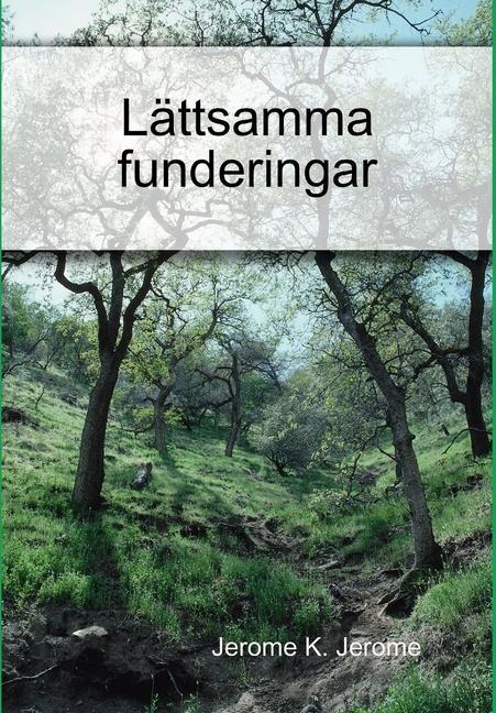 Vorderes Coverbild Lättsamma funderingar
